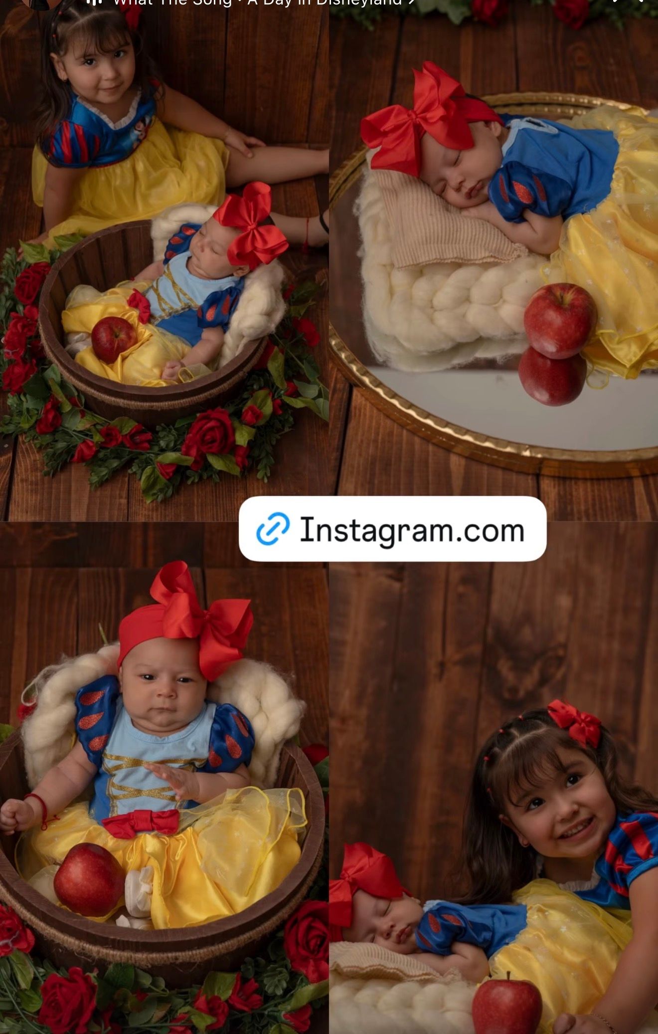 Two children dressed as Snow White pose with a red apple in a charming Disney-themed newborn photo session.