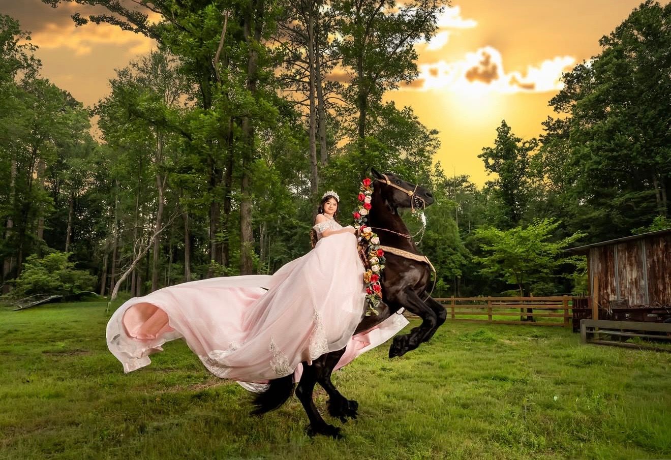 Bride in flowing white gown rides rearing black horse at sunset in lush green forest clearing.