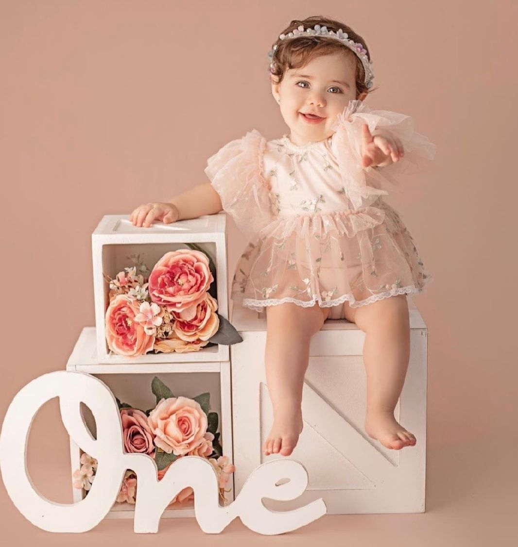 Baby in pink lace dress sits on white blocks with coral roses and decorative 'One' sign for first birthday photo.