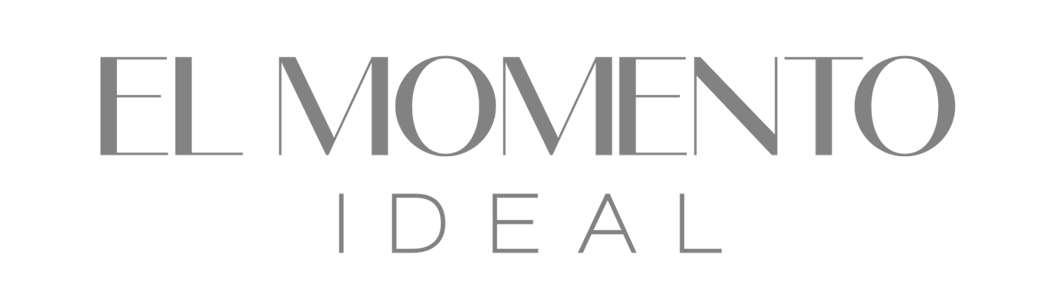 El Momento Ideal elegant minimalist logo in gray typography on white background.