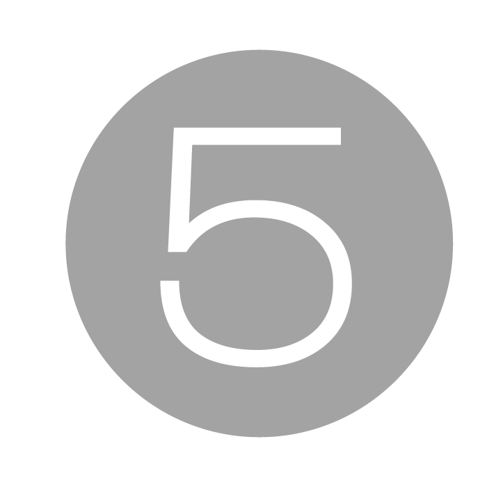 Gray circle icon with white number 5 centered, minimalist design for ranking or step indicators.
