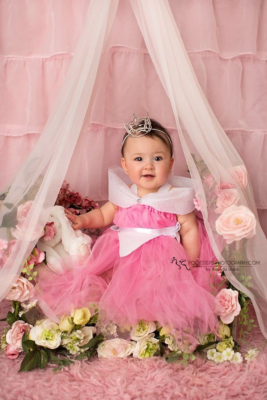 A baby girl in a pink princess tutu dress and tiara sits among roses under a sheer canopy backdrop.