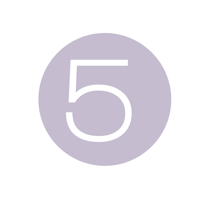 Purple circle icon with white number 5 centered, minimalist design for step five indicator.