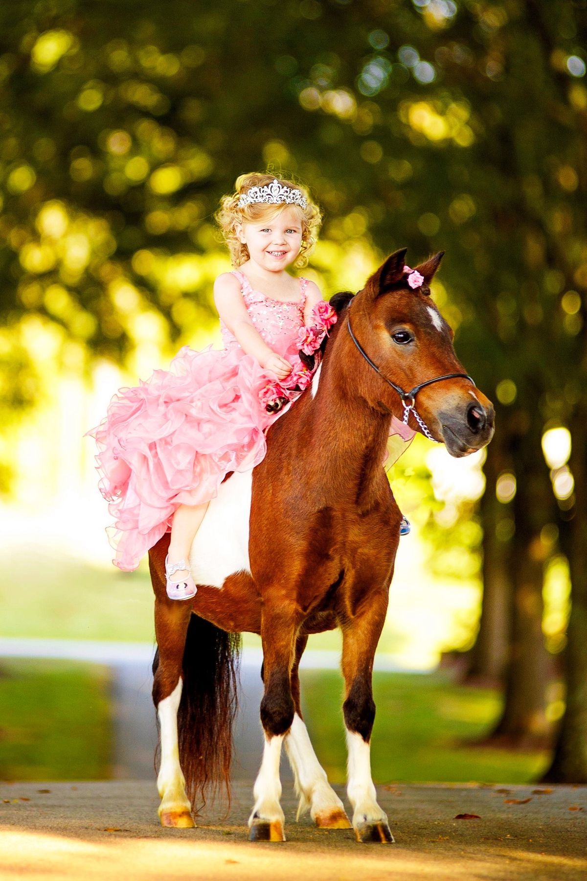 A little girl in a pink princess dress and tiara rides a chestnut pinto pony in a sunny park setting.