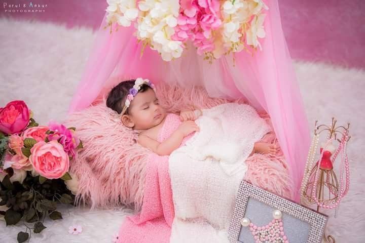 Newborn baby girl sleeping peacefully in a pink fluffy basket surrounded by roses and a pink canopy backdrop.