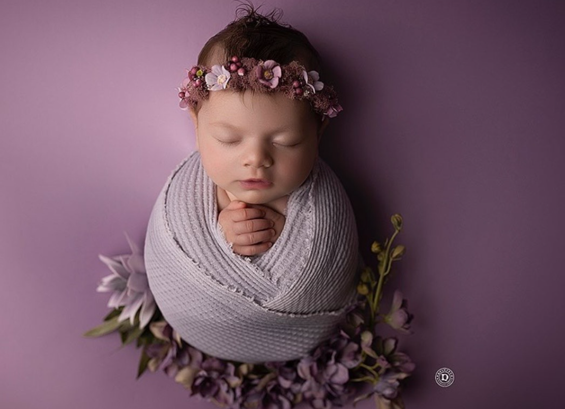 Newborn photography collage featuring sleeping baby in soft purple and gray tones with delicate floral accents.