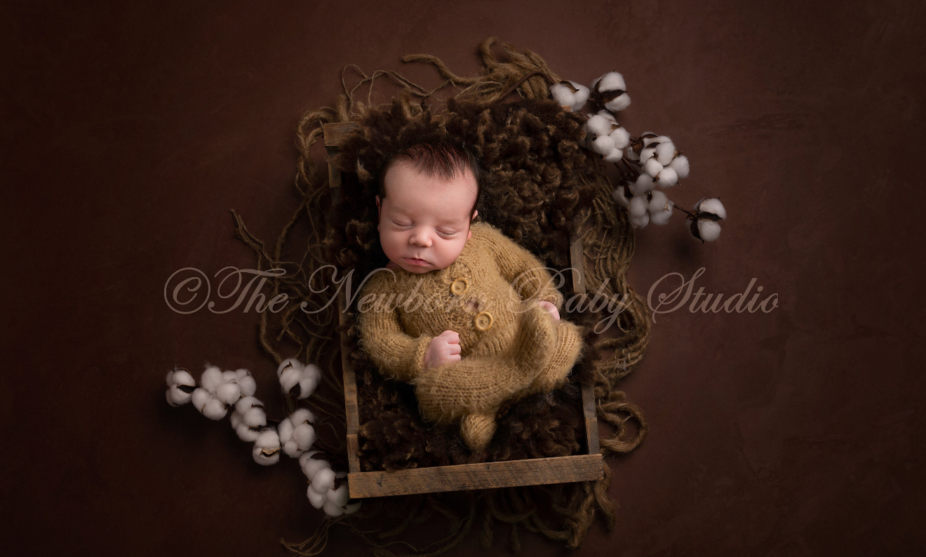 Newborn baby sleeping in a wooden crate with brown fur, wearing a tan knit outfit, surrounded by cotton stems.