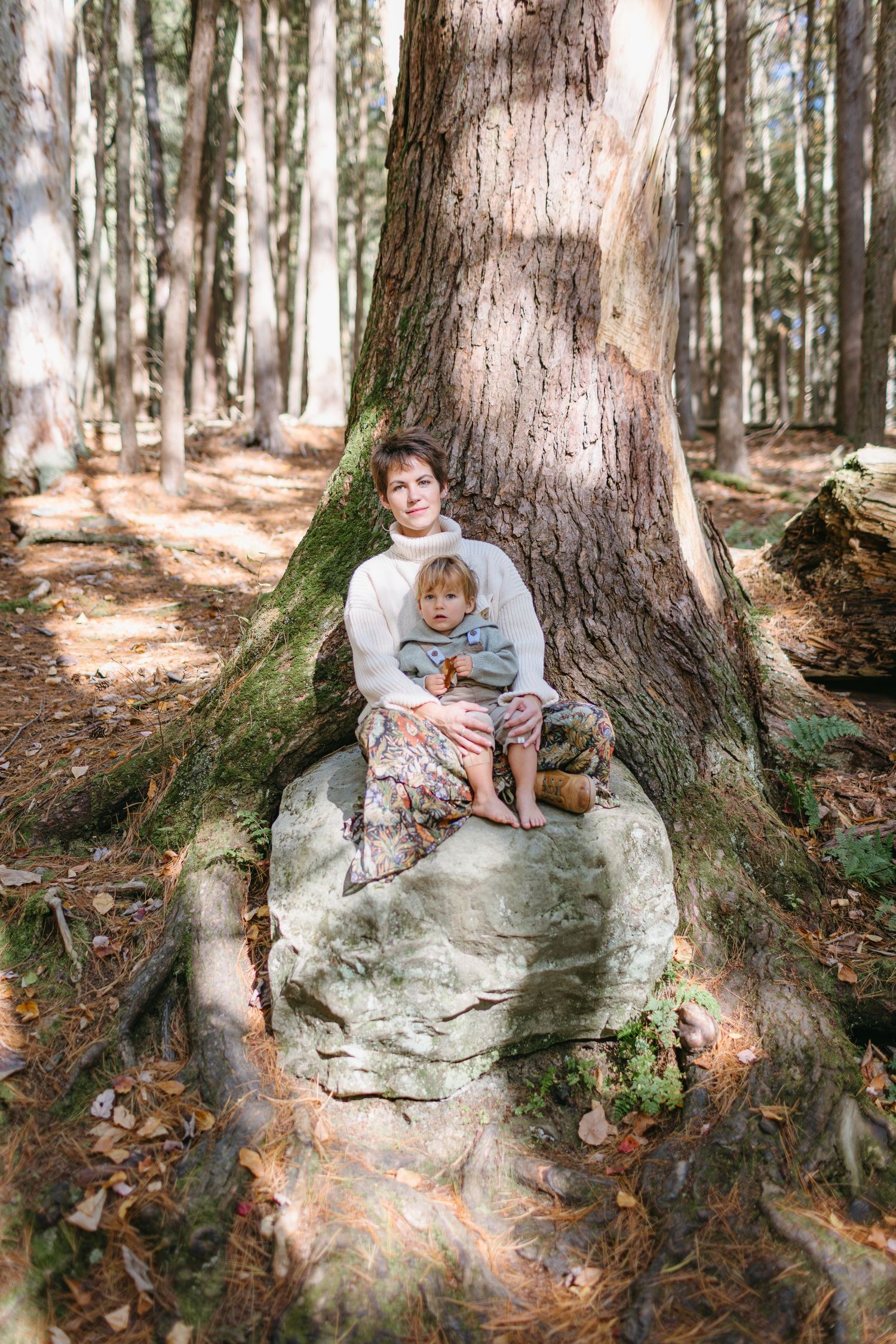 Two people sitting at the base of a large tree in a sunlit forest.