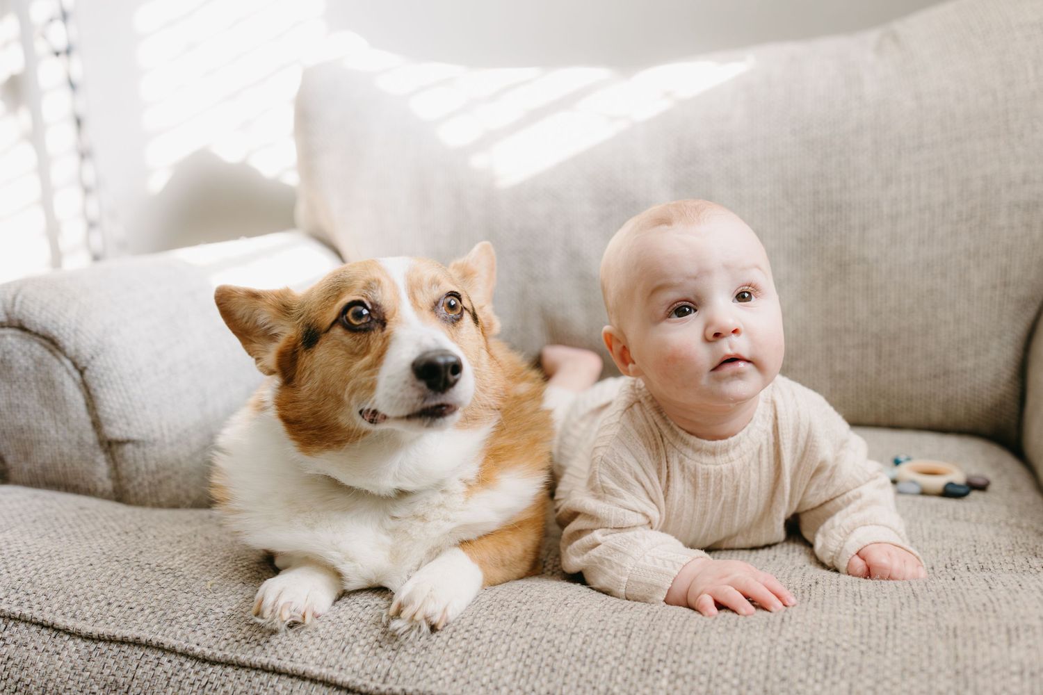 A corgi and baby lying side by side on a light gray couch in matching neutral colors.