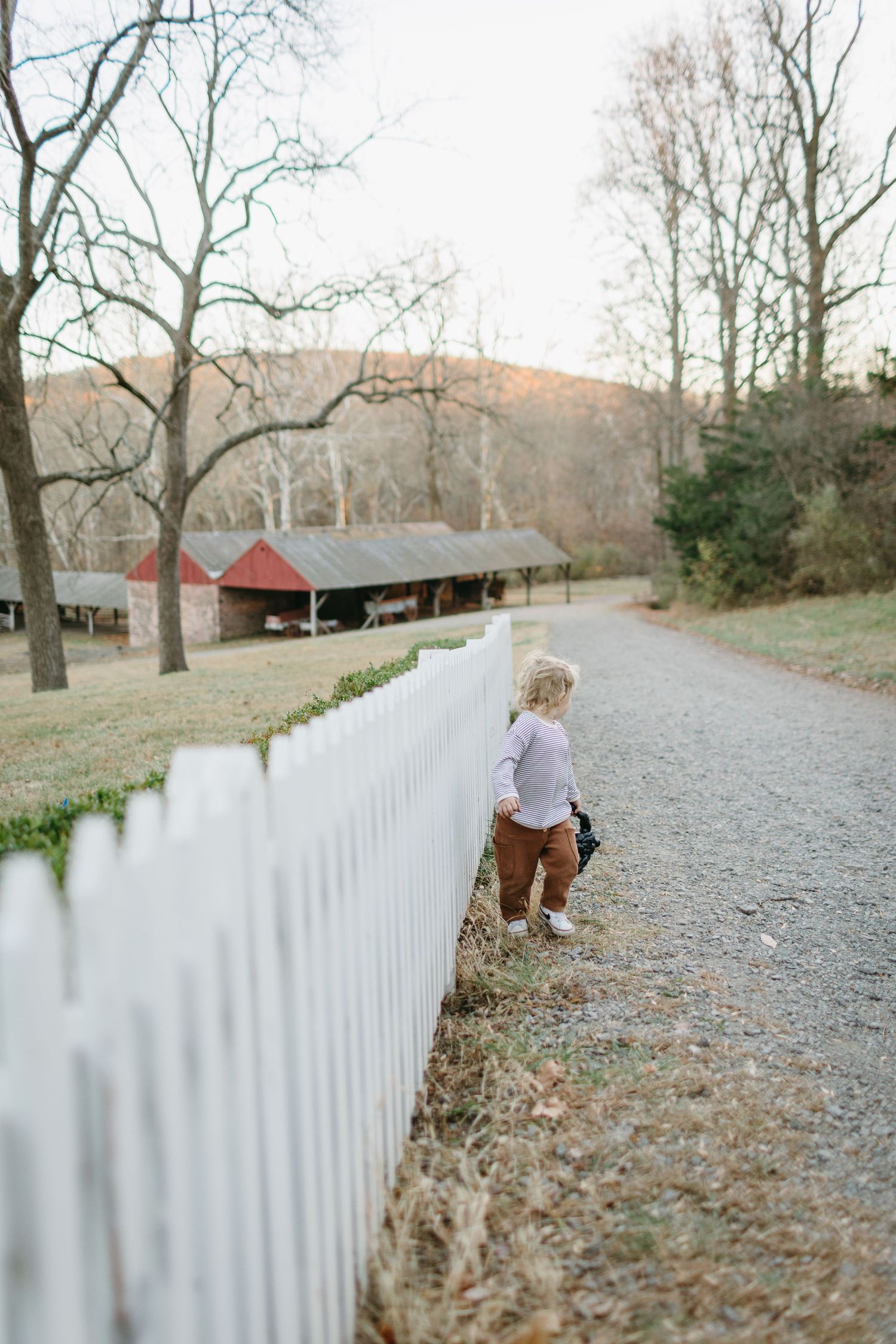 A child walks along a white picket fence on a gravel path near rural buildings.