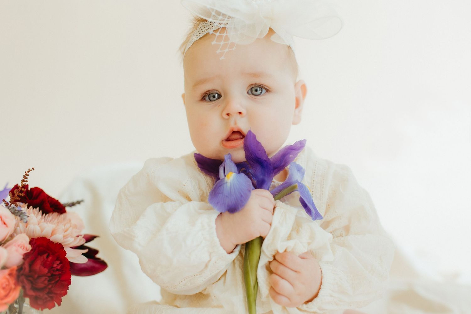 Baby in white lace outfit holding purple iris flower against light background.