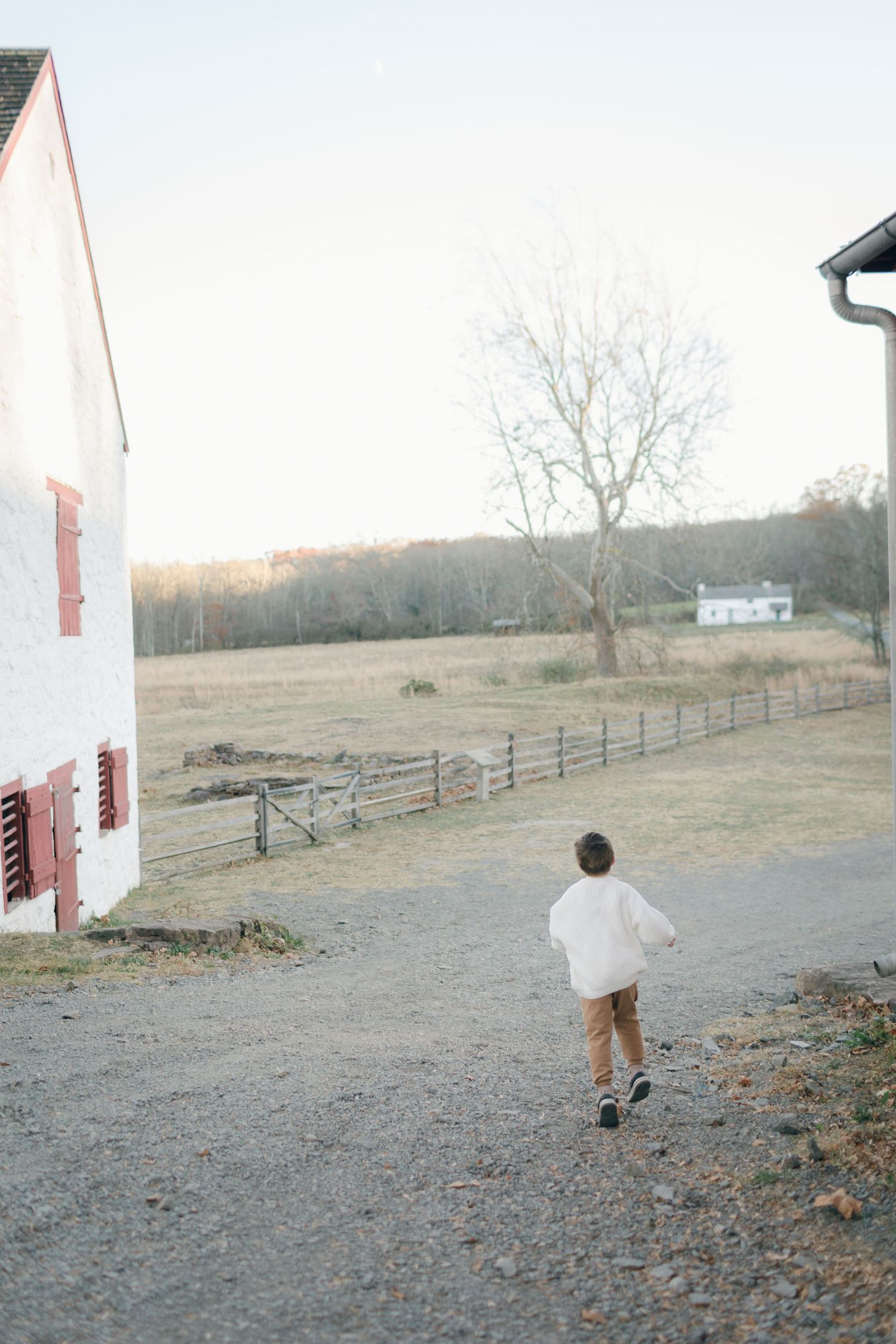 Child in white sweater walking down gravel path near rustic barn at sunset.