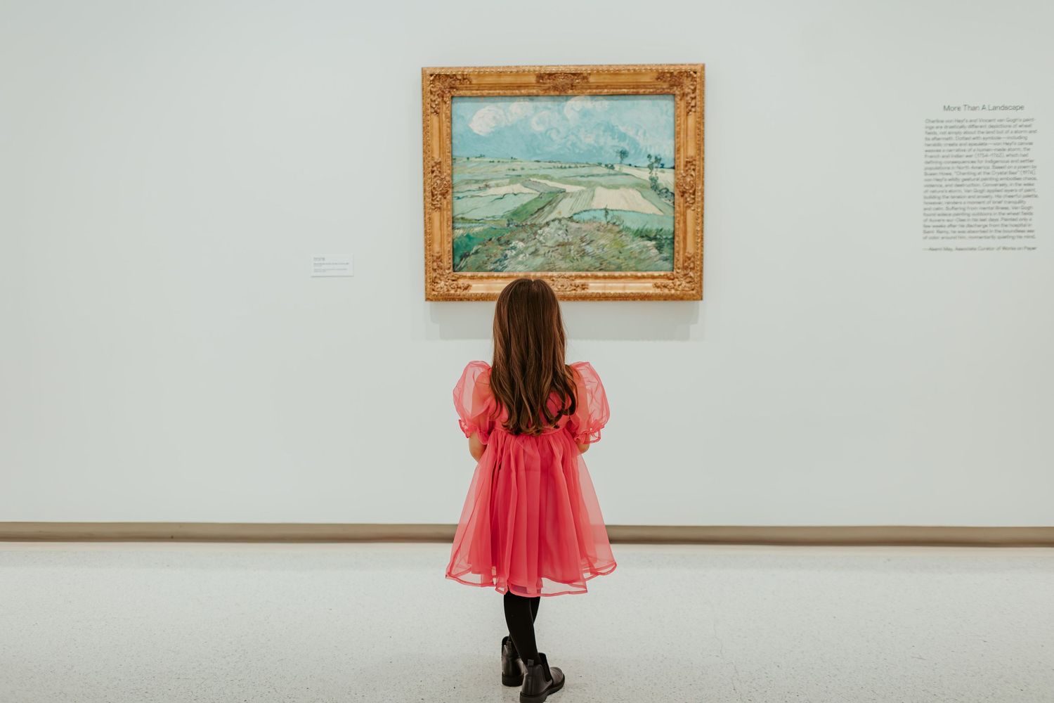 Child in pink dress viewing framed landscape painting in art gallery.