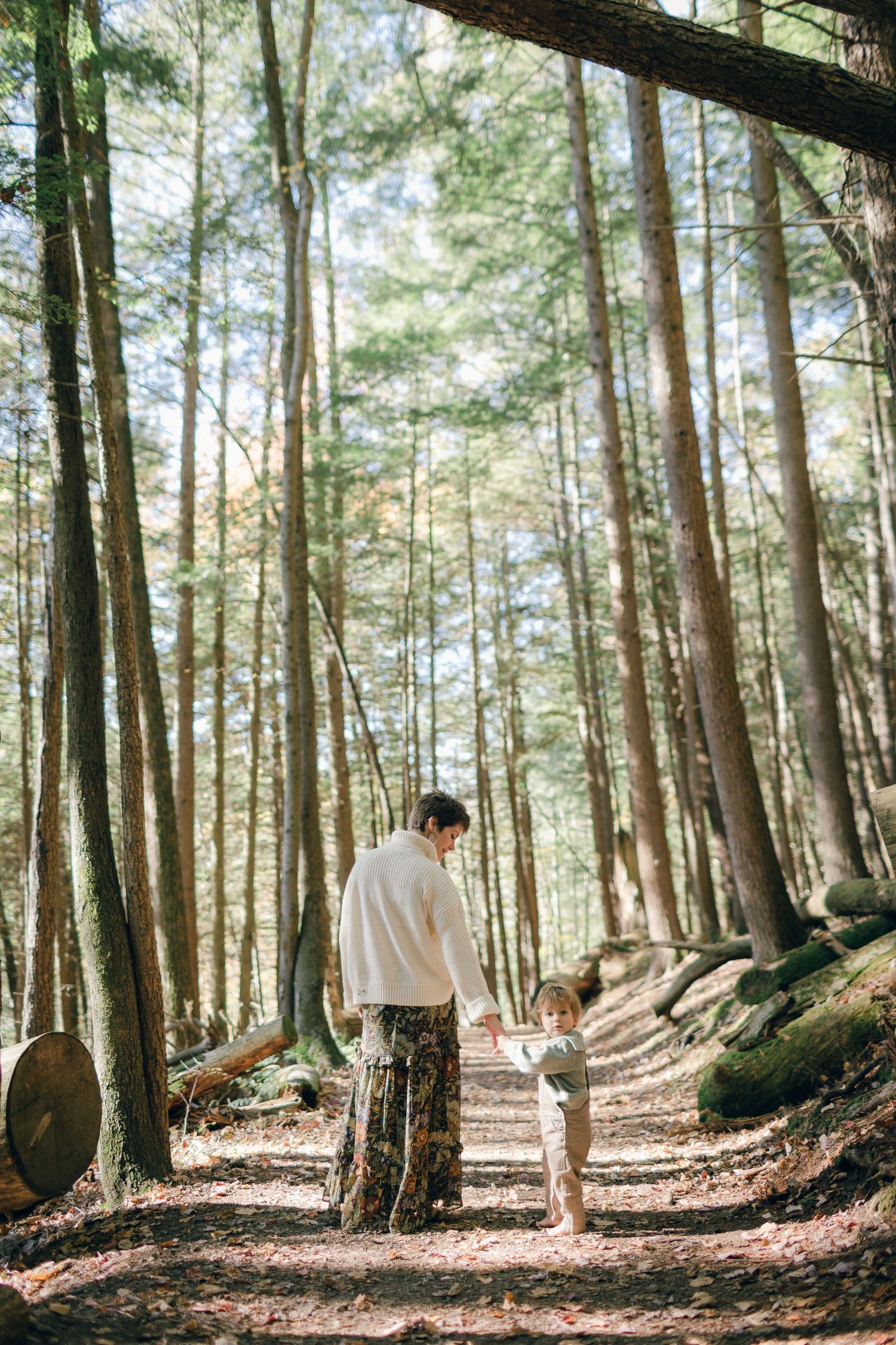 Two people walking together on a sunlit forest path among tall pine trees.