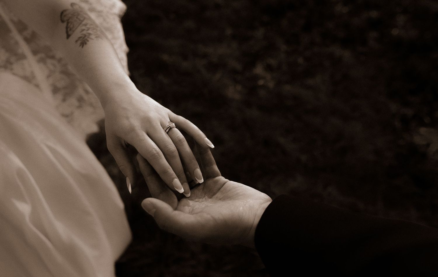 A sequence of hands in sepia tones showing a progression of gentle touching gestures.