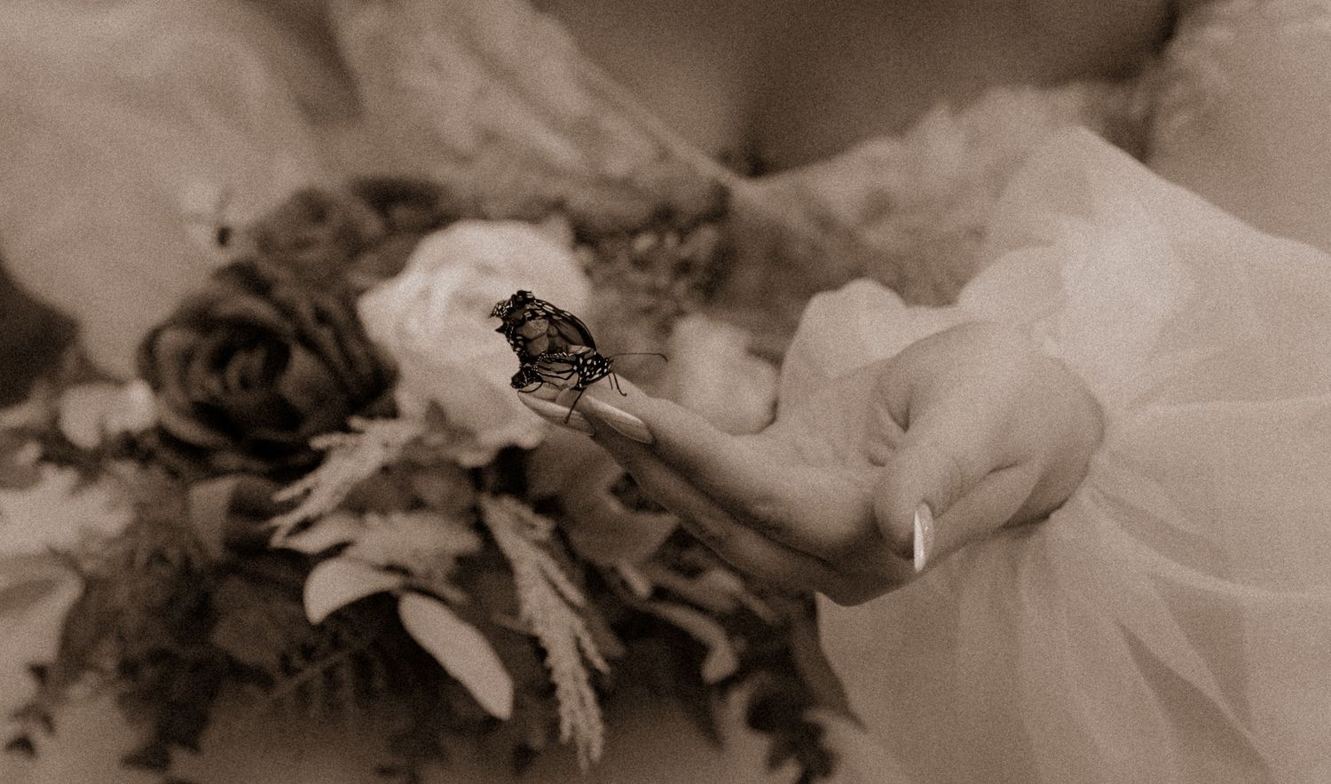Authentic, vintage-inspired wedding and couples photography!