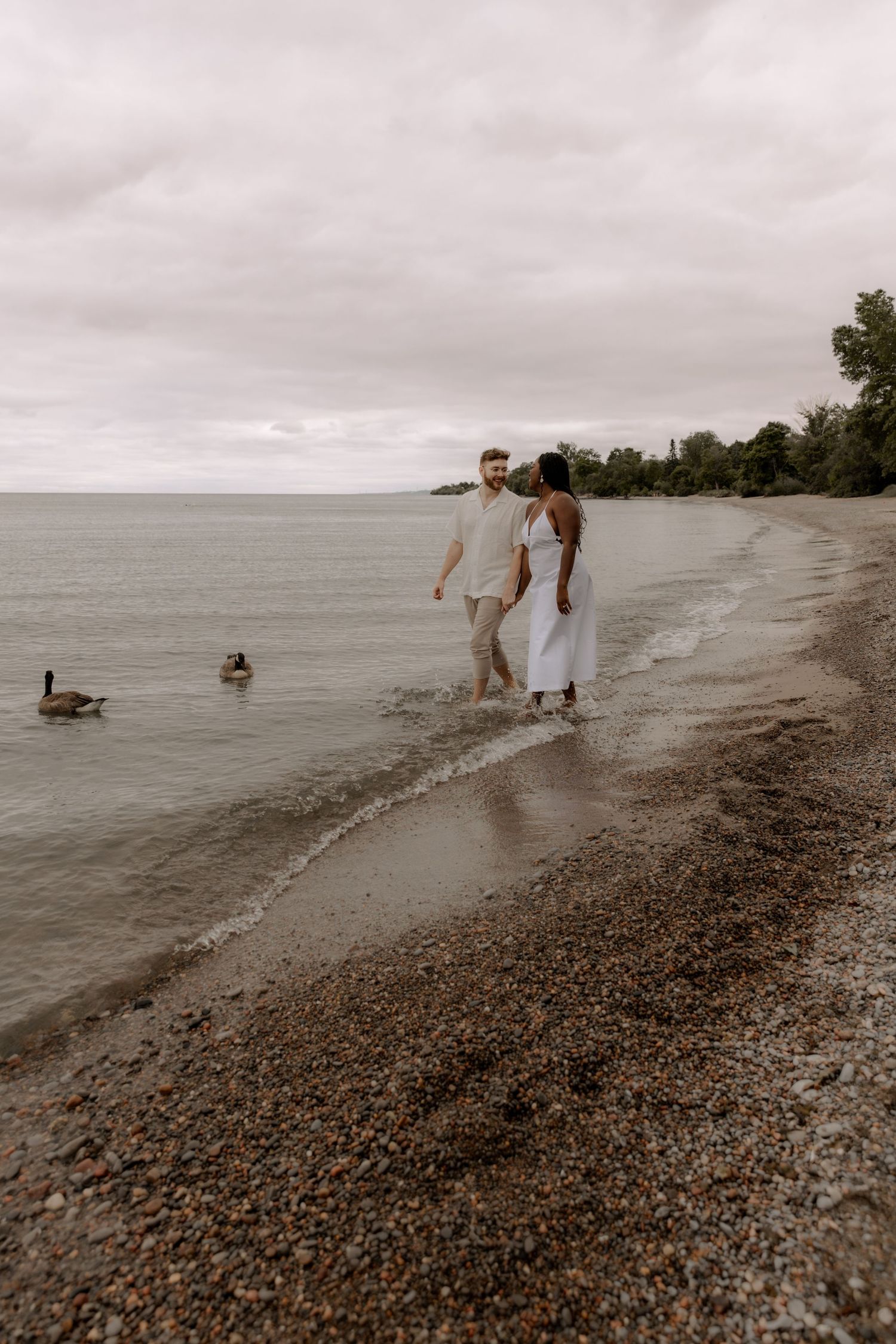 A romantic couple strolls on a pebbly beach with ducks swimming nearby.