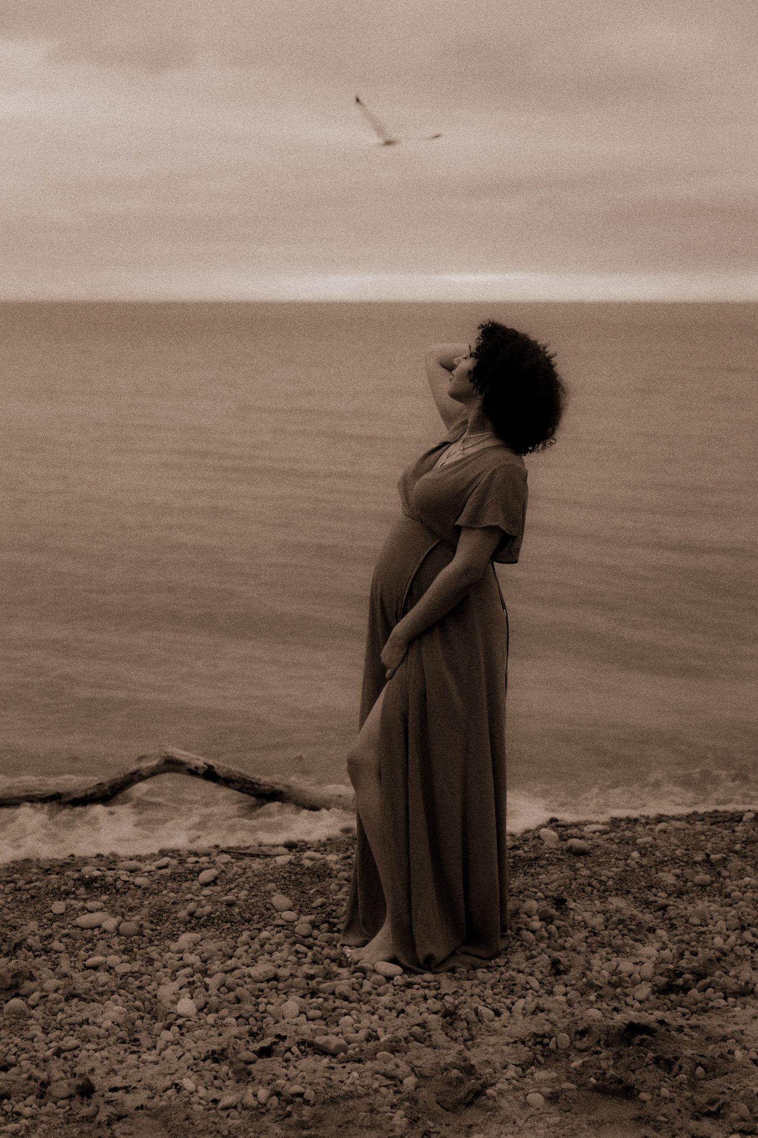 Pregnant woman in flowing dress stands on rocky cliff overlooking ocean, gazing at seagull in sepia-toned photo.