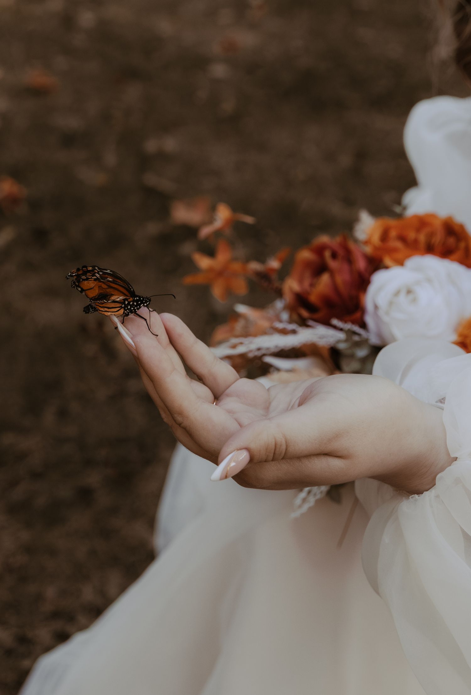 A delicate monarch butterfly perches on a hand wearing white fabric against a backdrop of autumn leaves.