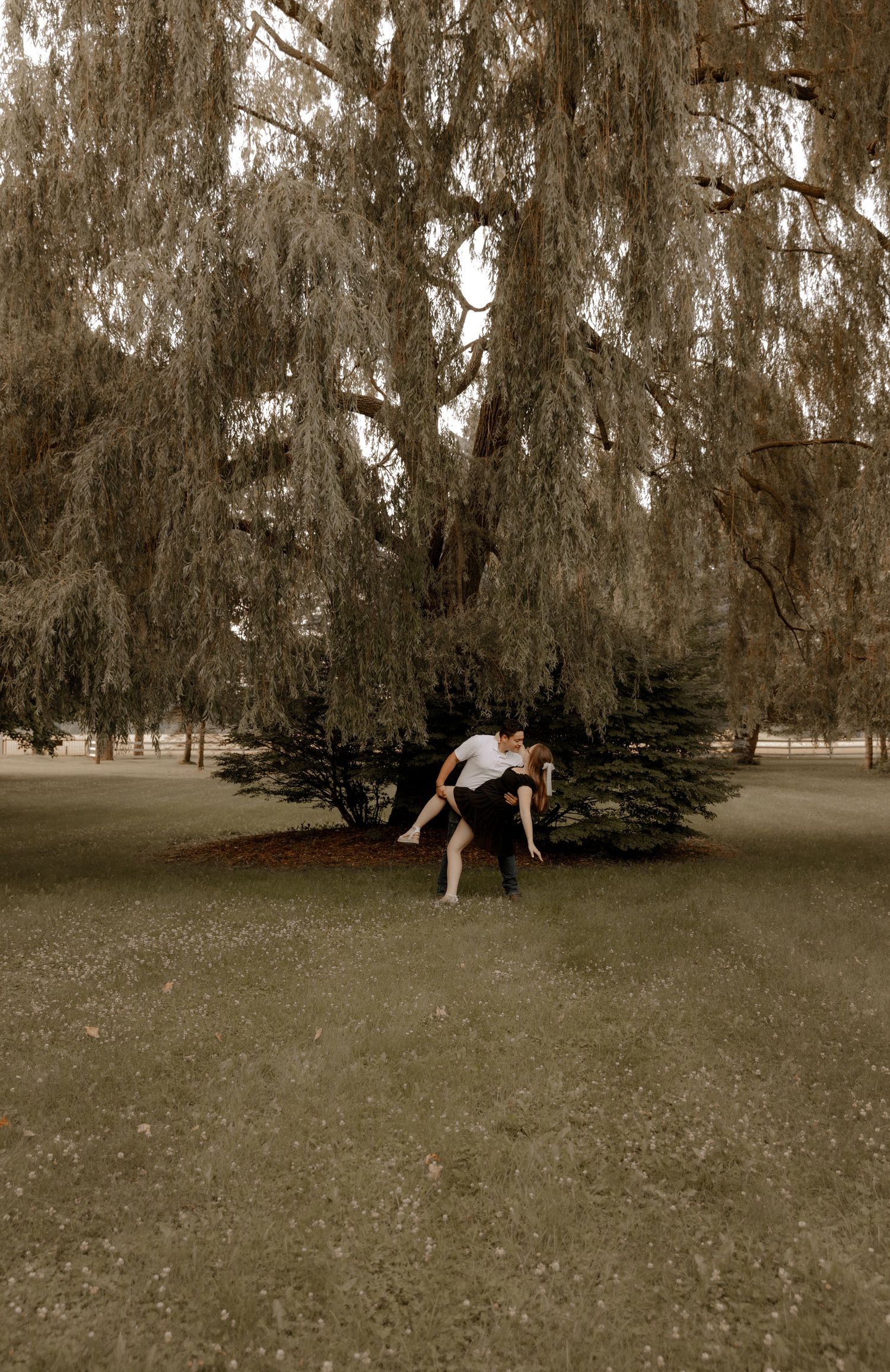 A gentle dance dip captured in sepia tones beneath a majestic weeping willow tree.