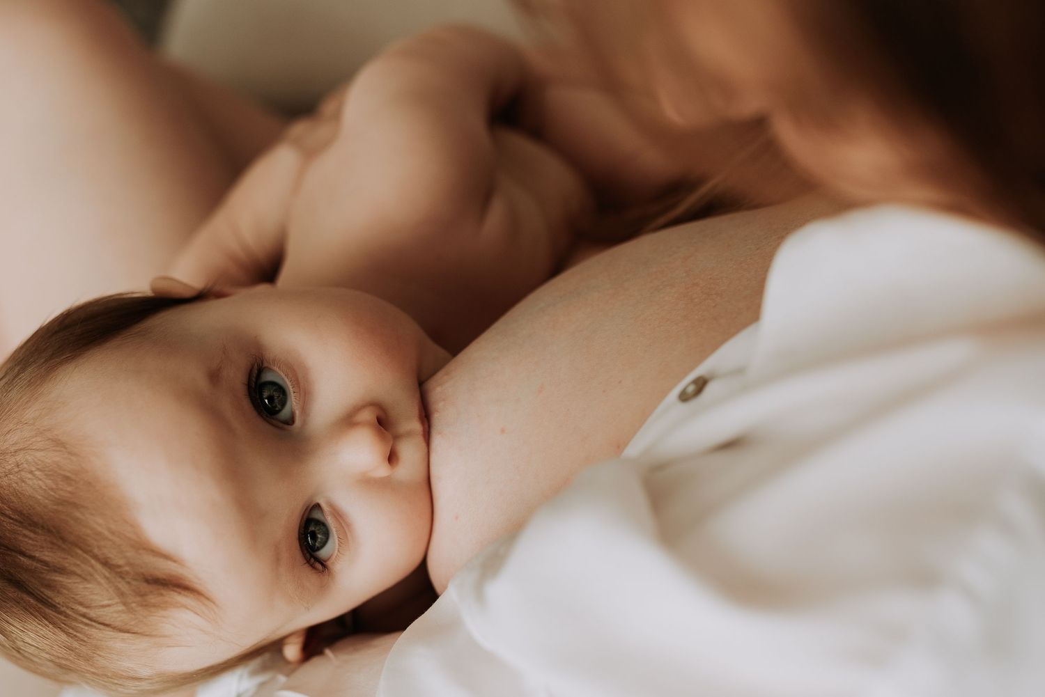 Photographie de famille