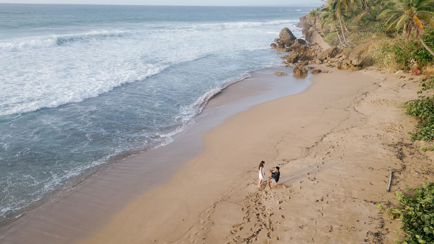 Scenic coastal beach panorama with palm trees, sandy shores, and blue ocean waves stretching along the shoreline.