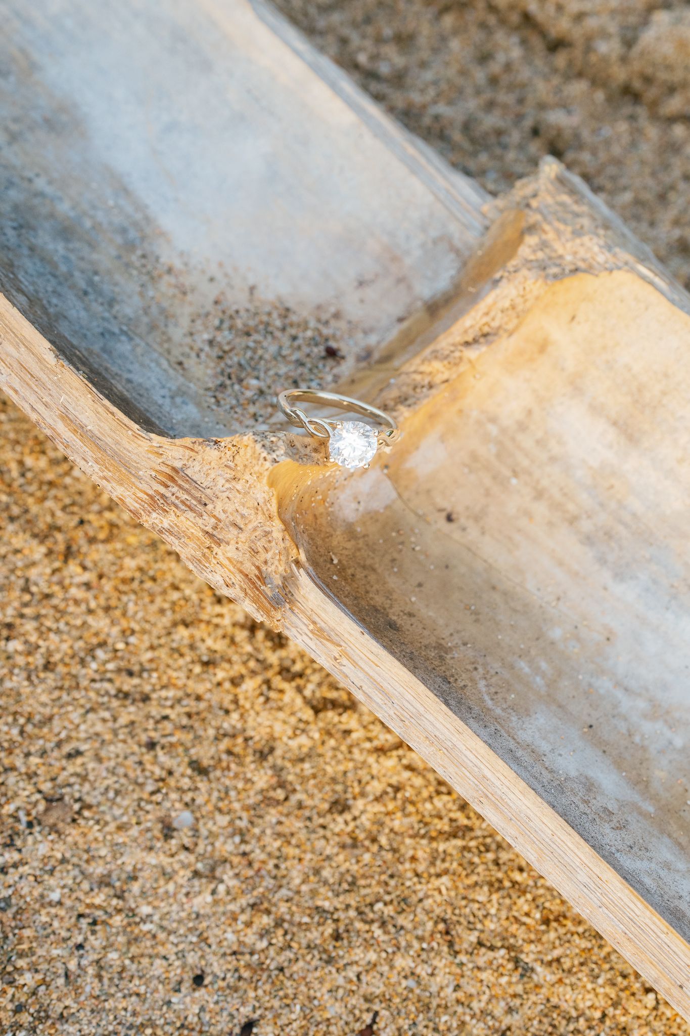 Close-up of a wooden board or plank resting on sandy ground showing texture and grain detail.