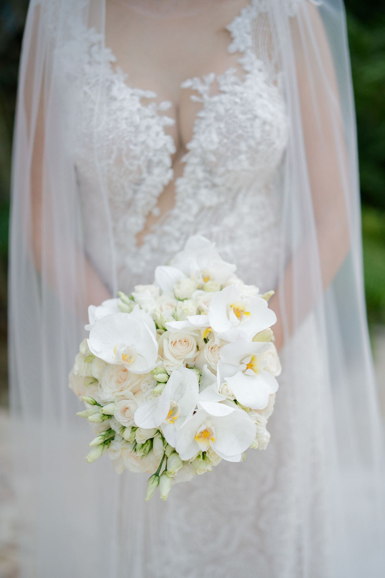 Bride holding a lush round bouquet of white orchids and roses, wearing a lace wedding gown and veil.