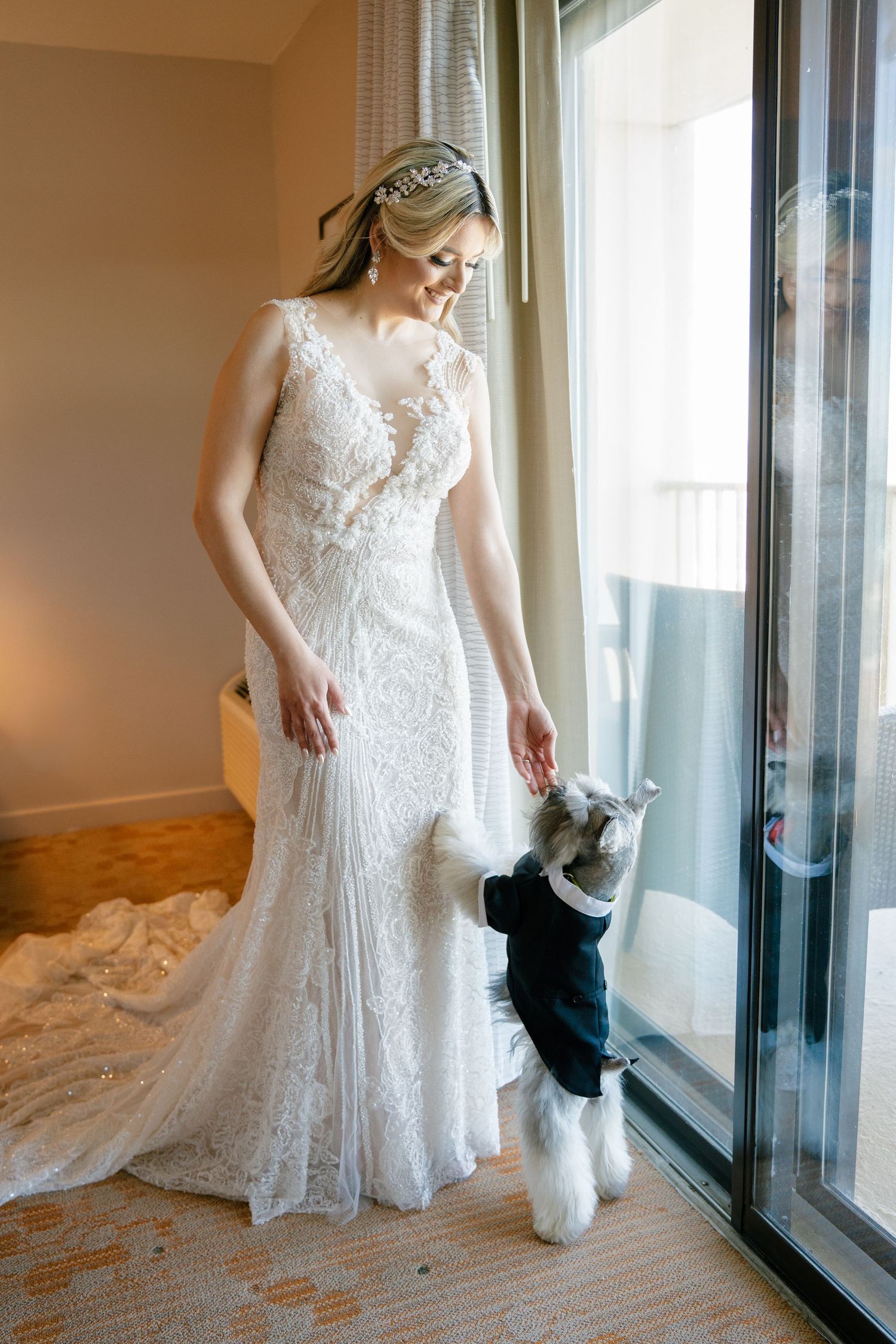 Bride in lace wedding gown smiles at her Schnauzer dog dressed in a tiny tuxedo by a sunlit window.