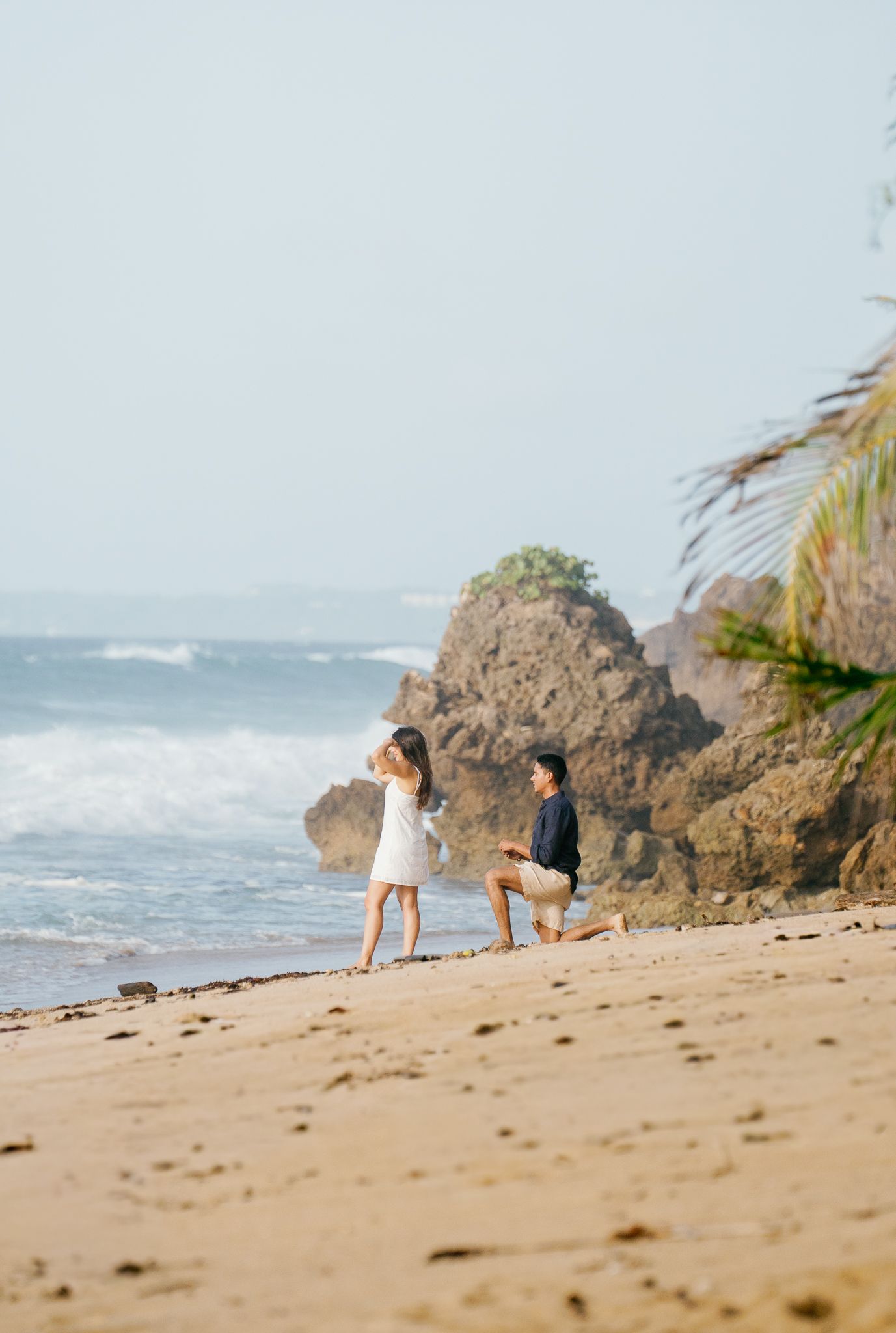 People and dogs walking along a scenic tropical beach with rocky outcrops and crashing waves in the background.