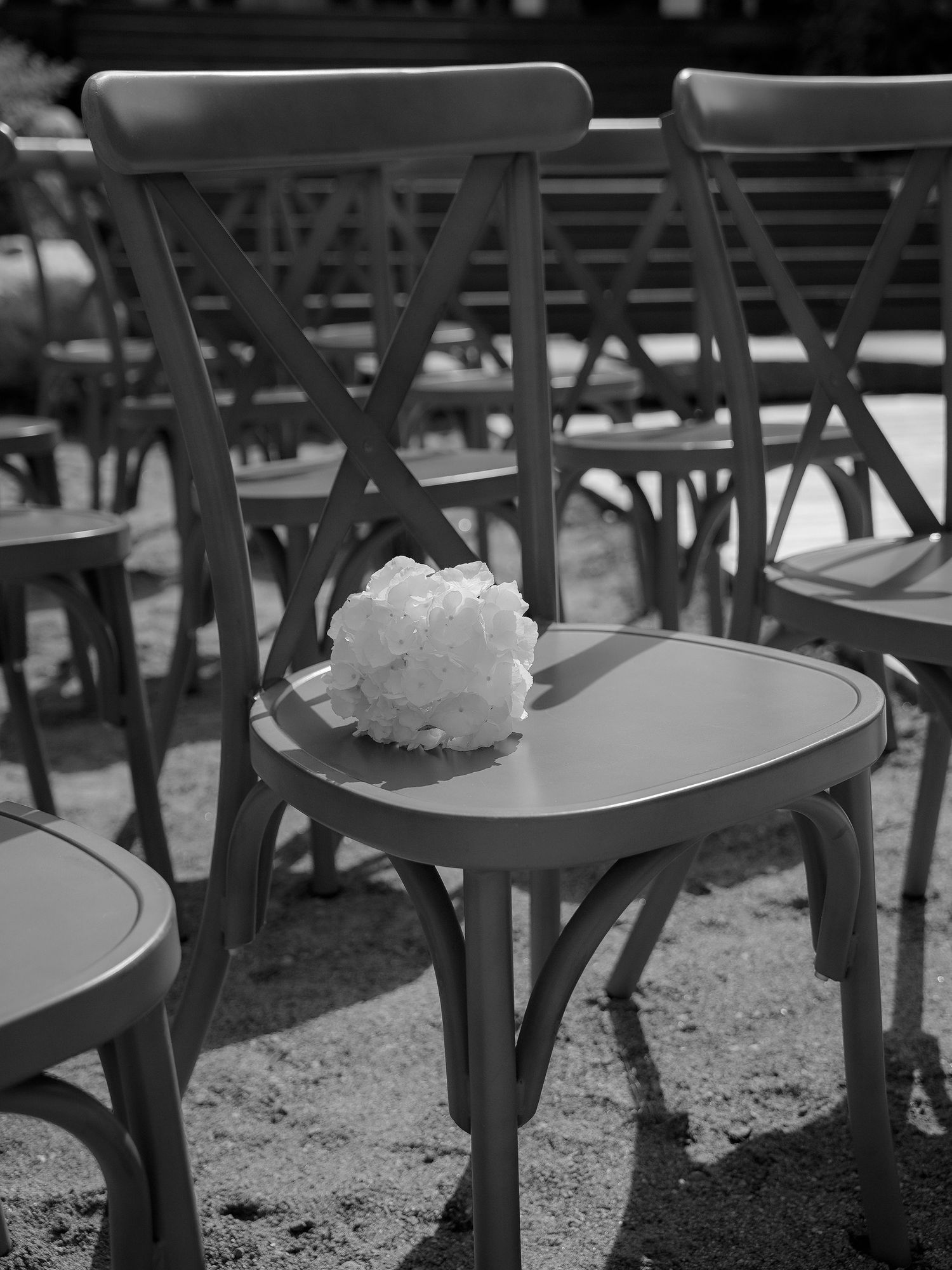Consecutive black and white photographs capture whipped cream melting on plates in outdoor cafe setting.