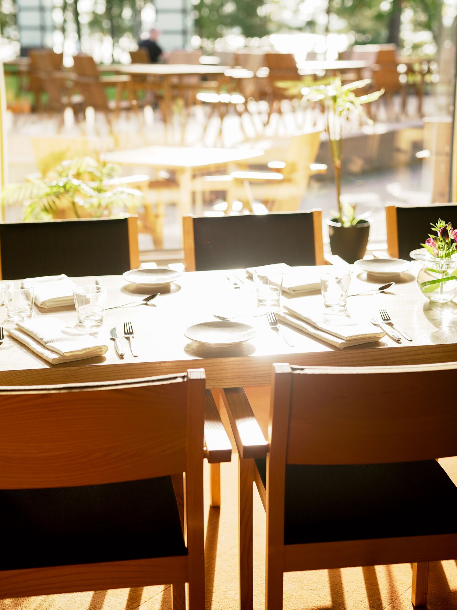 Sunlit restaurant interior with wooden chairs, set tables, white plates, and lush greenery by large windows.