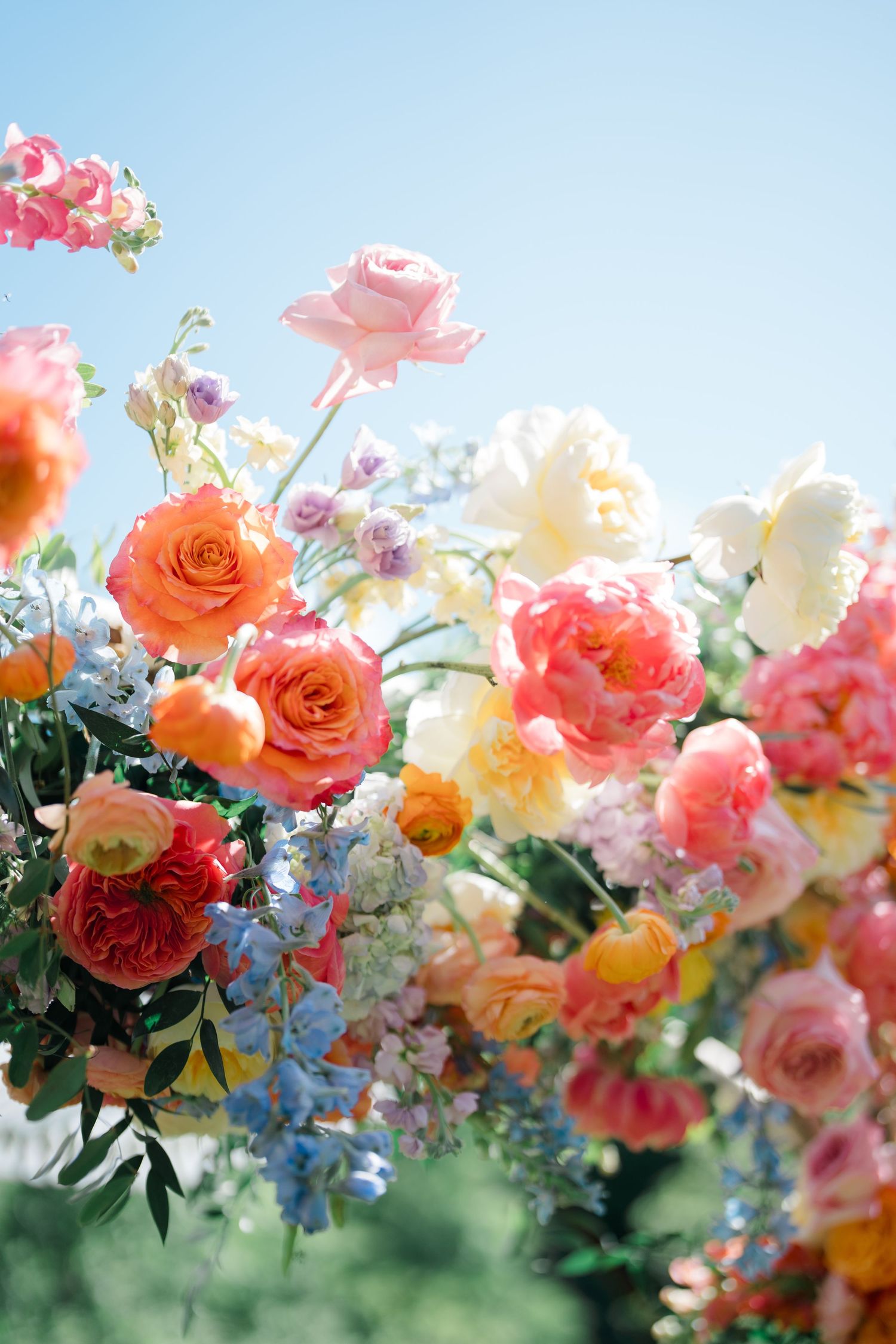 Vibrant floral arrangement with coral roses and blue delphinium against a bright sky backdrop.