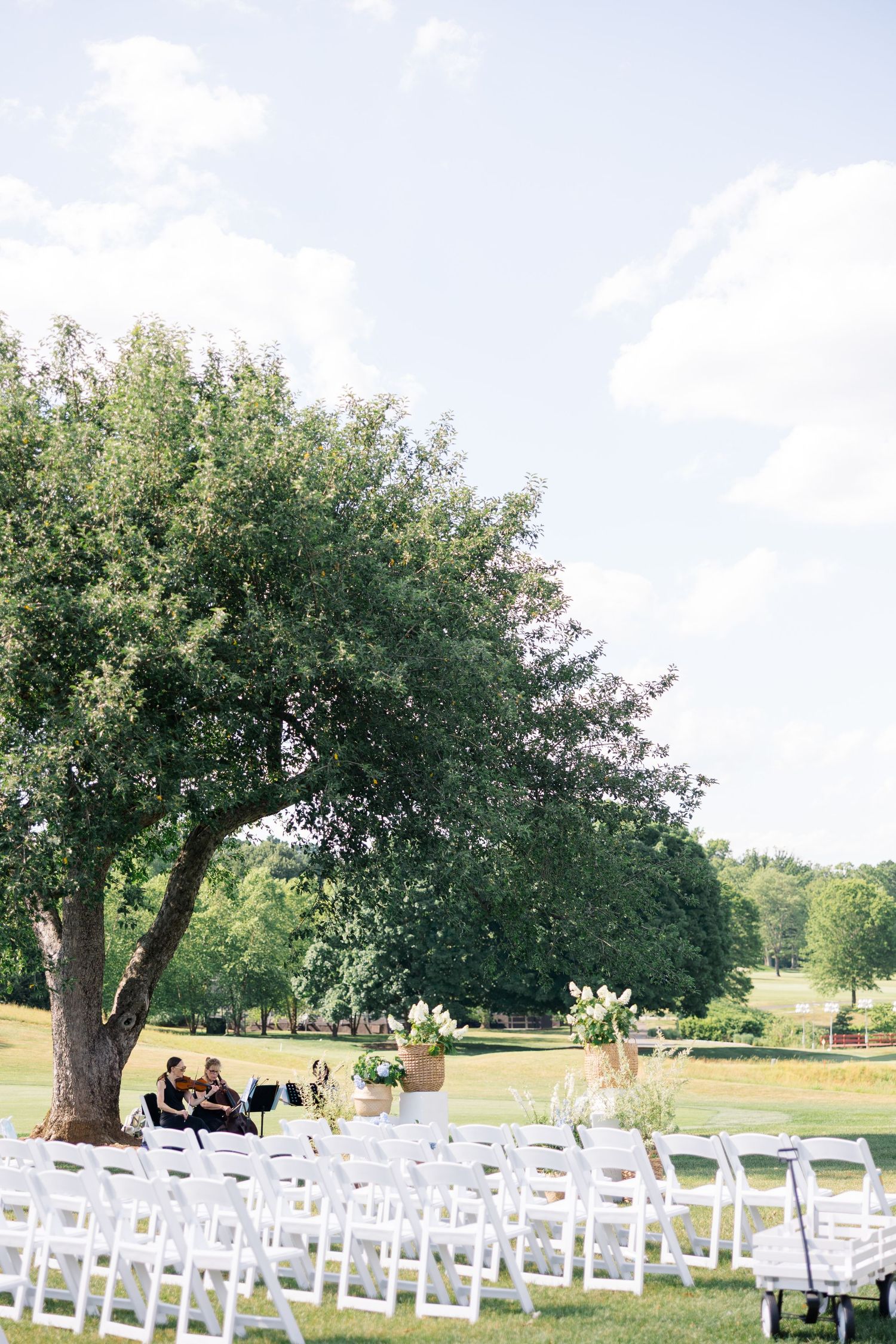 Outdoor wedding ceremony setup with white chairs under a large tree on a sunny green lawn.
