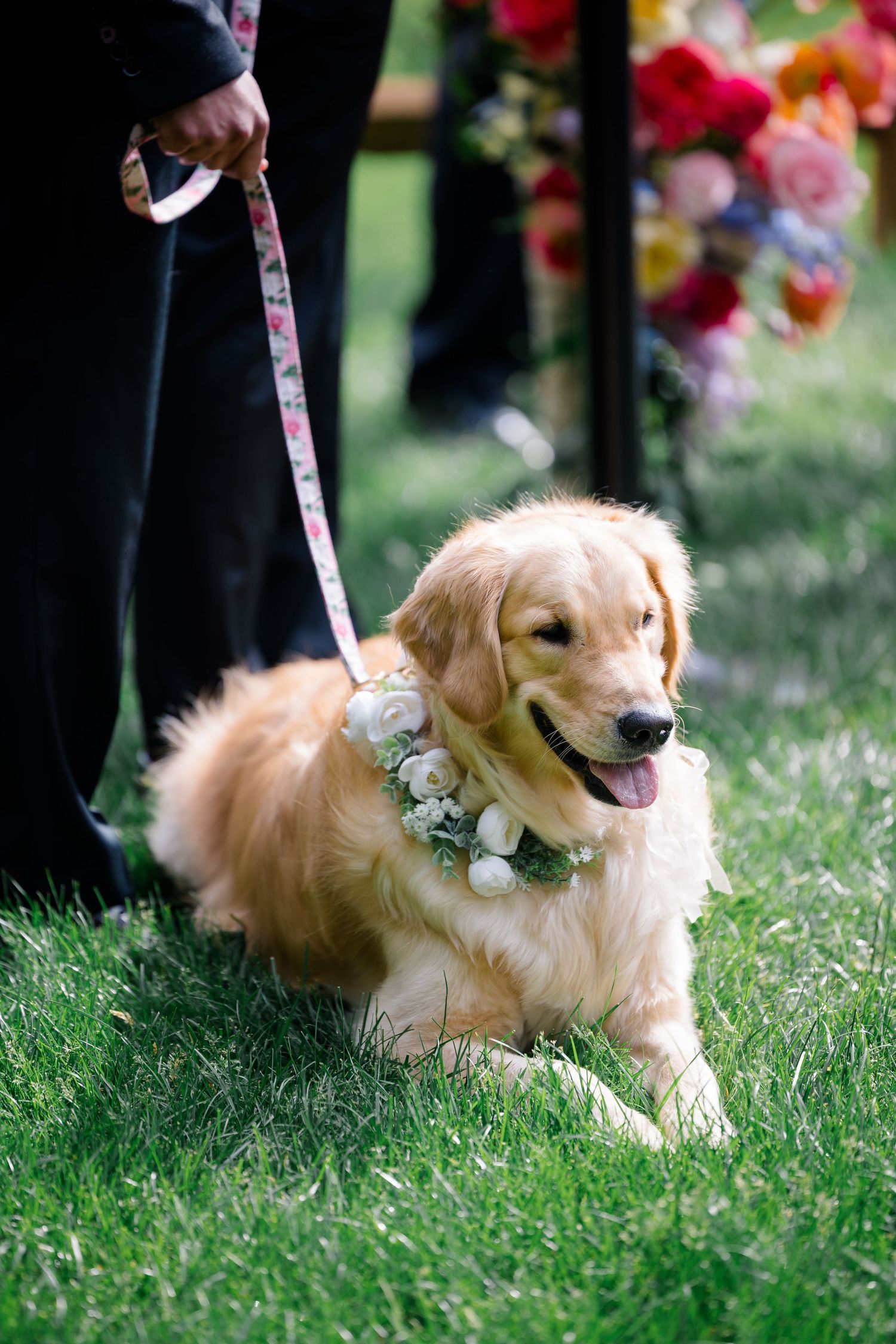 Happy golden retriever wearing floral collar at wedding celebration on green grass.