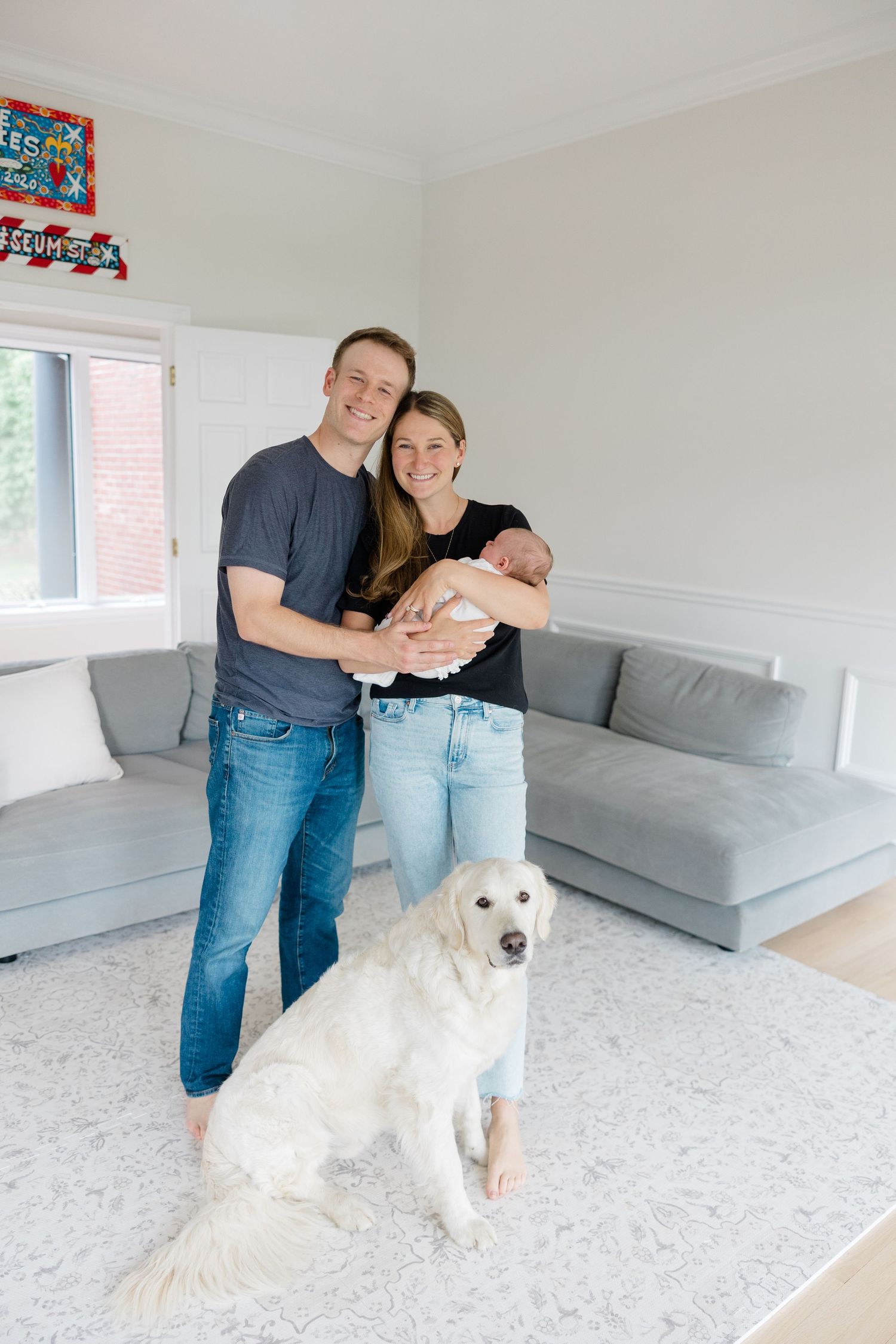 Modern living room scene with a white dog and grey sectional sofa.