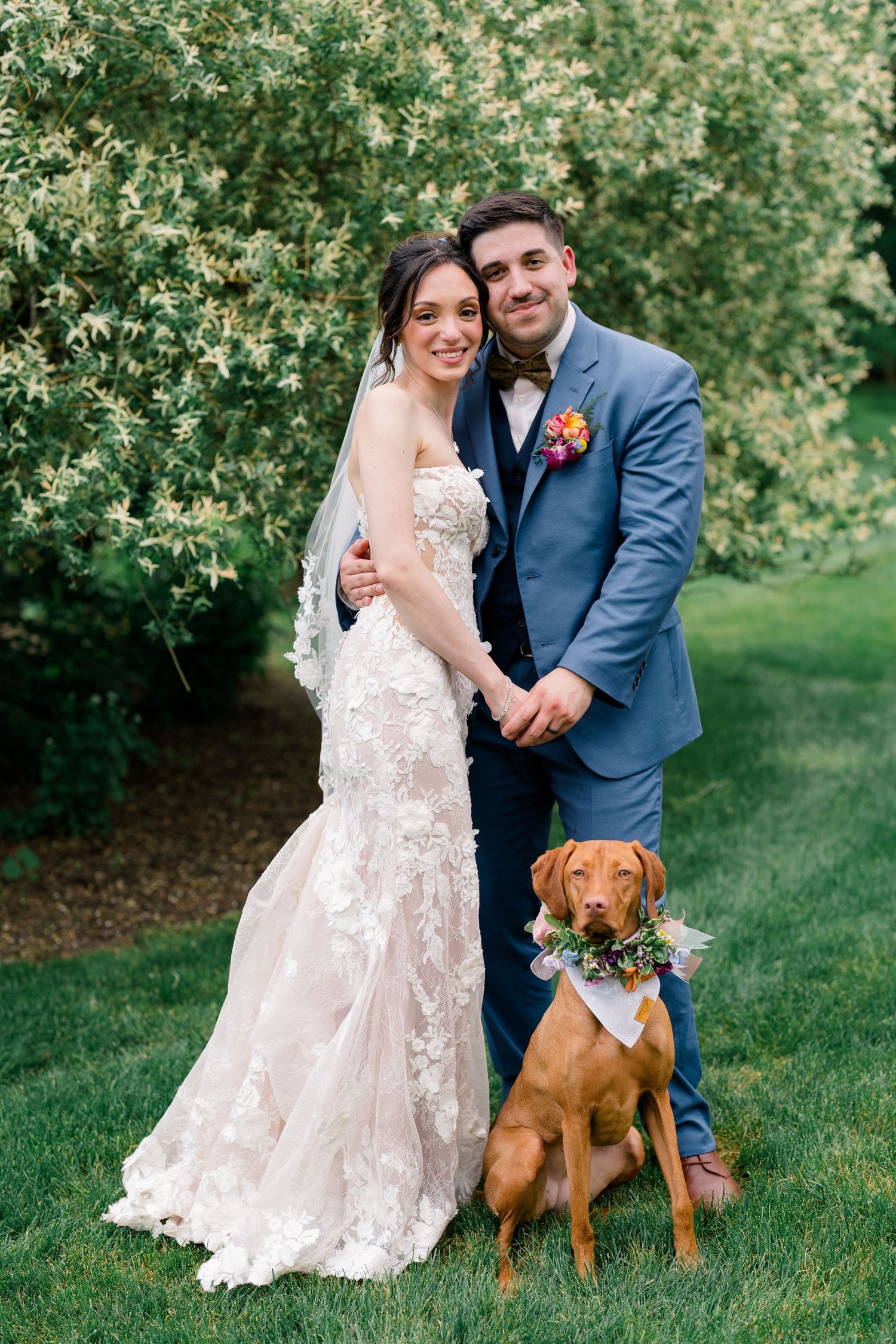 Wedding couple poses with their dog wearing bow tie against flowering bush backdrop.