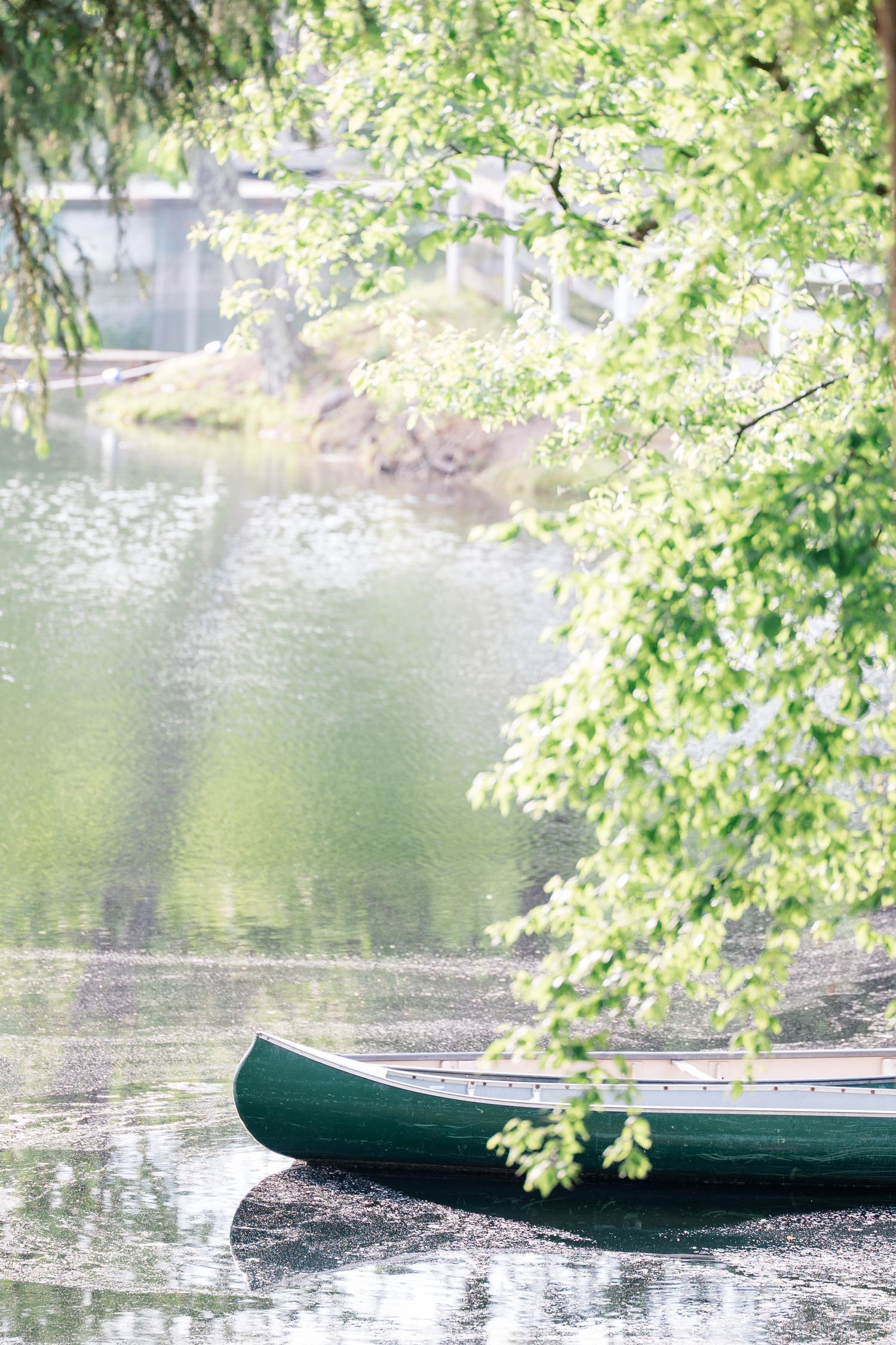 Green canoe resting on tranquil lake waters with overhanging tree branches.