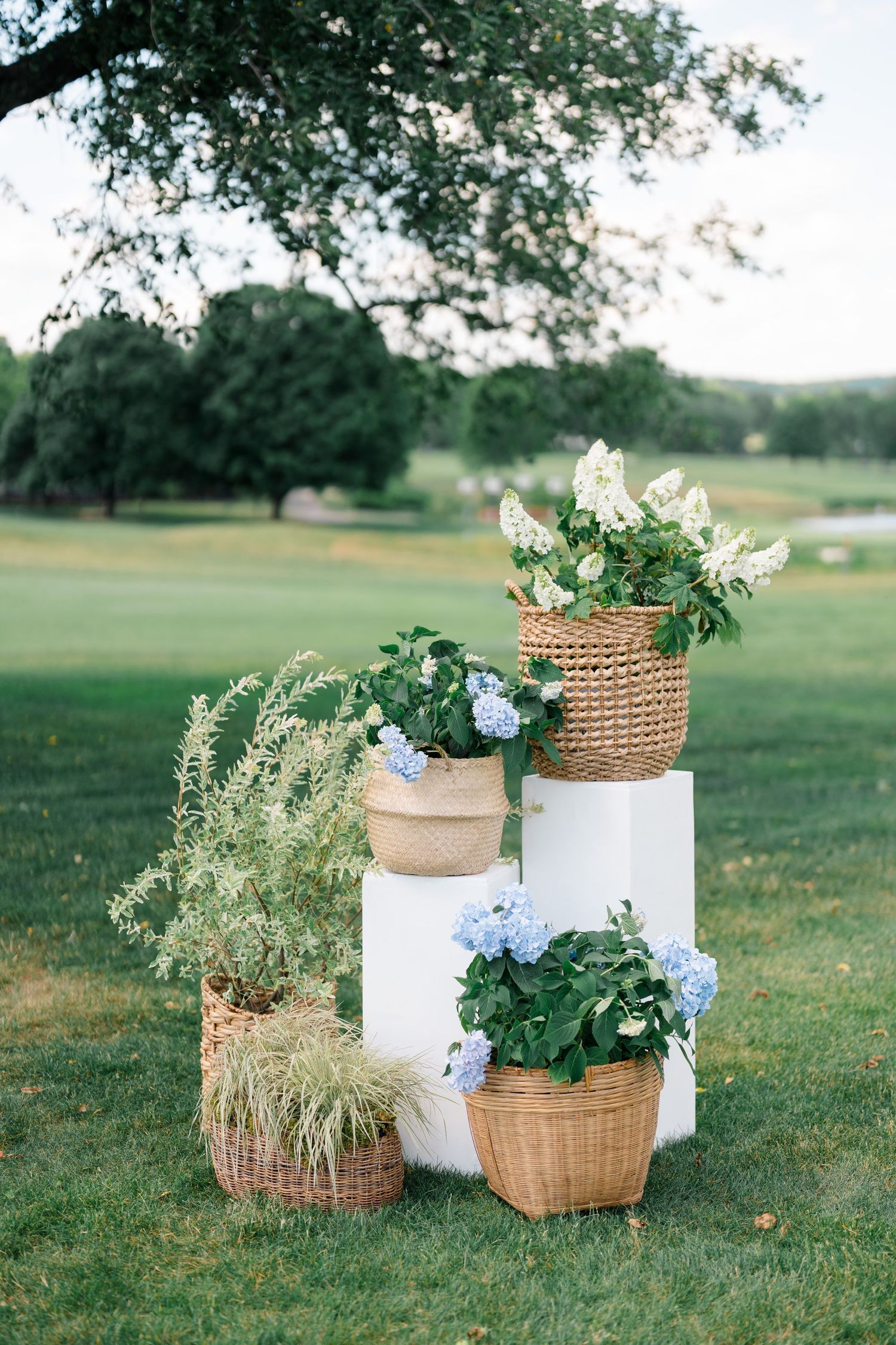 Outdoor wedding ceremony decor featuring potted blue hydrangeas and white flowers in wicker baskets on white pedestals.