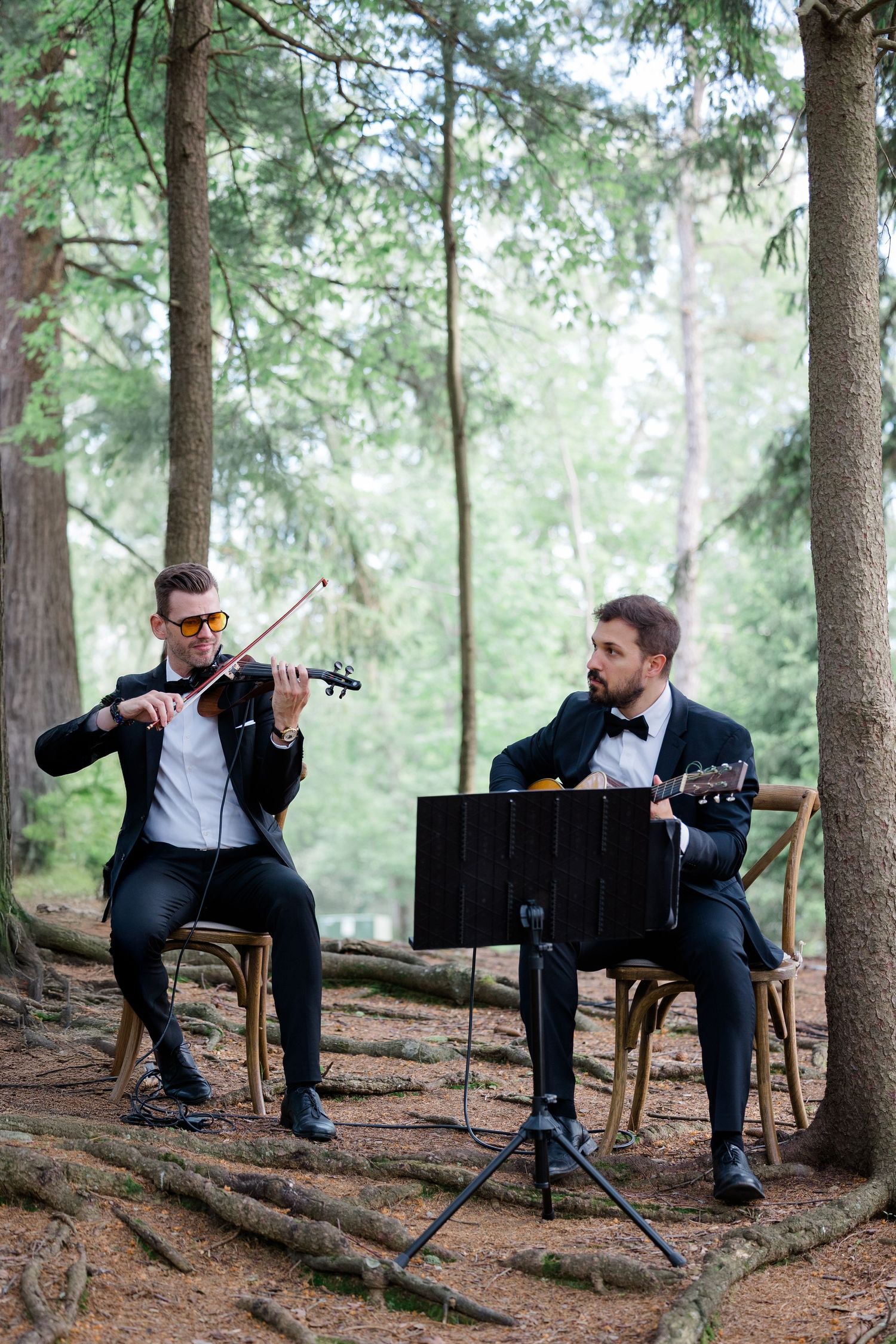 Musicians perform a violin and guitar duet in a serene forest setting, creating an intimate outdoor musical experience.