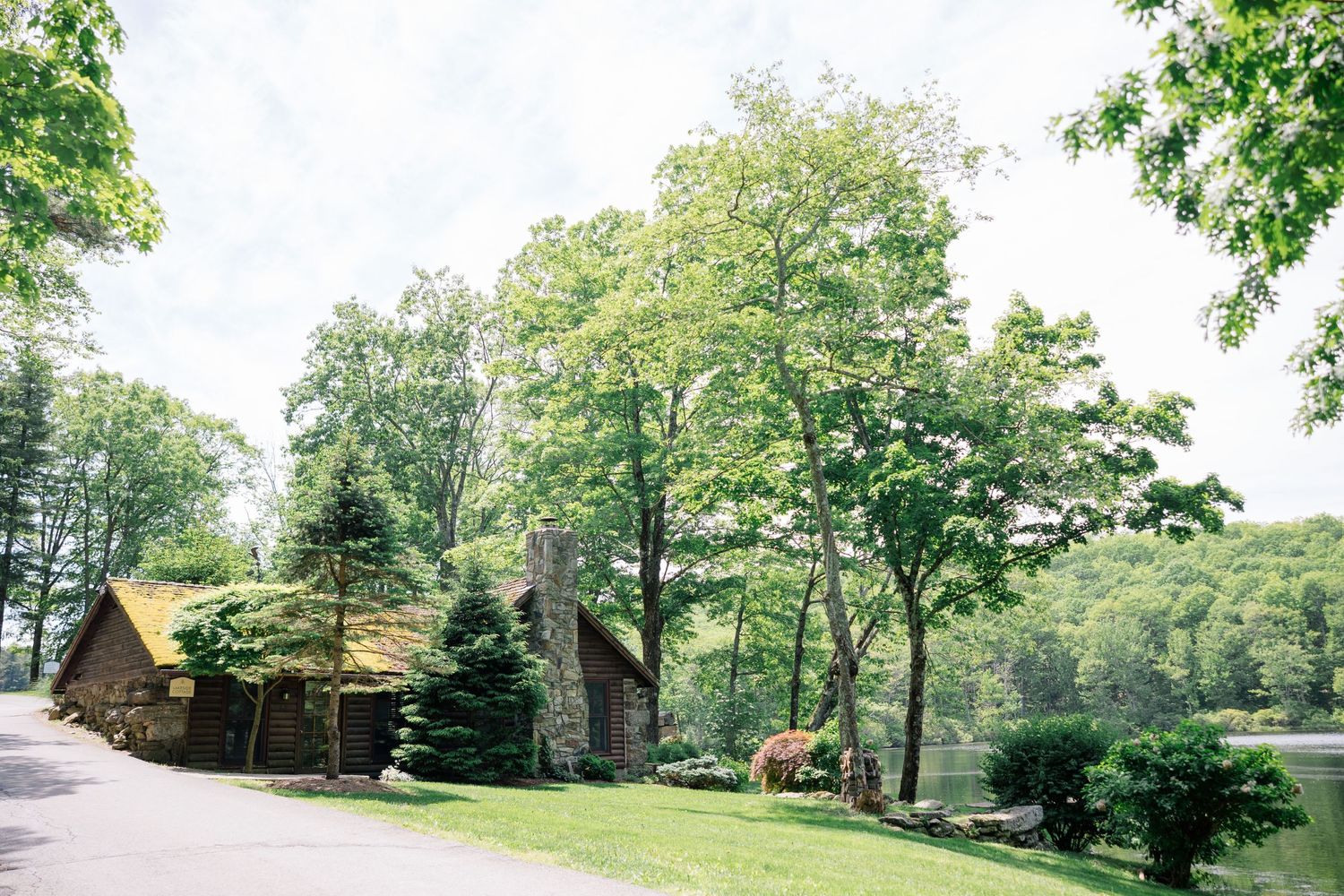 Rustic log cabins nestled among tall green trees along a winding driveway in a peaceful wooded setting.