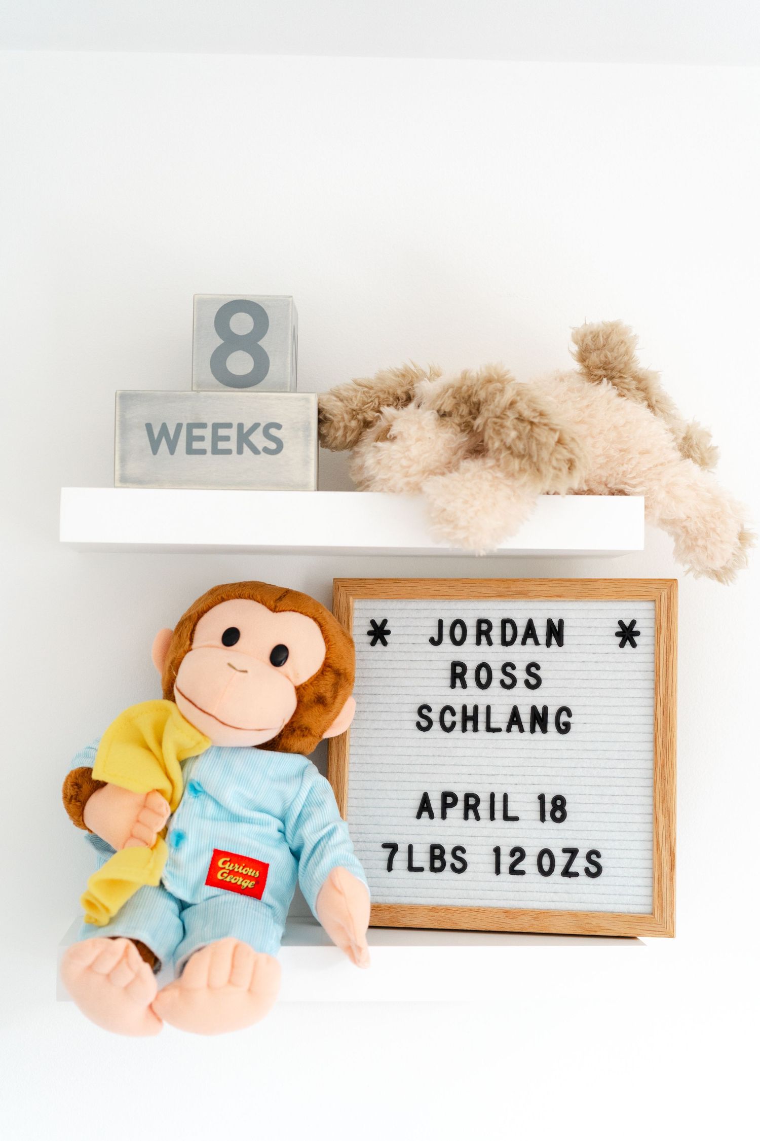 A baby growth milestone marker with a letterboard showing '8 WEEKS' with stuffed animals including a monkey and teddy bear.