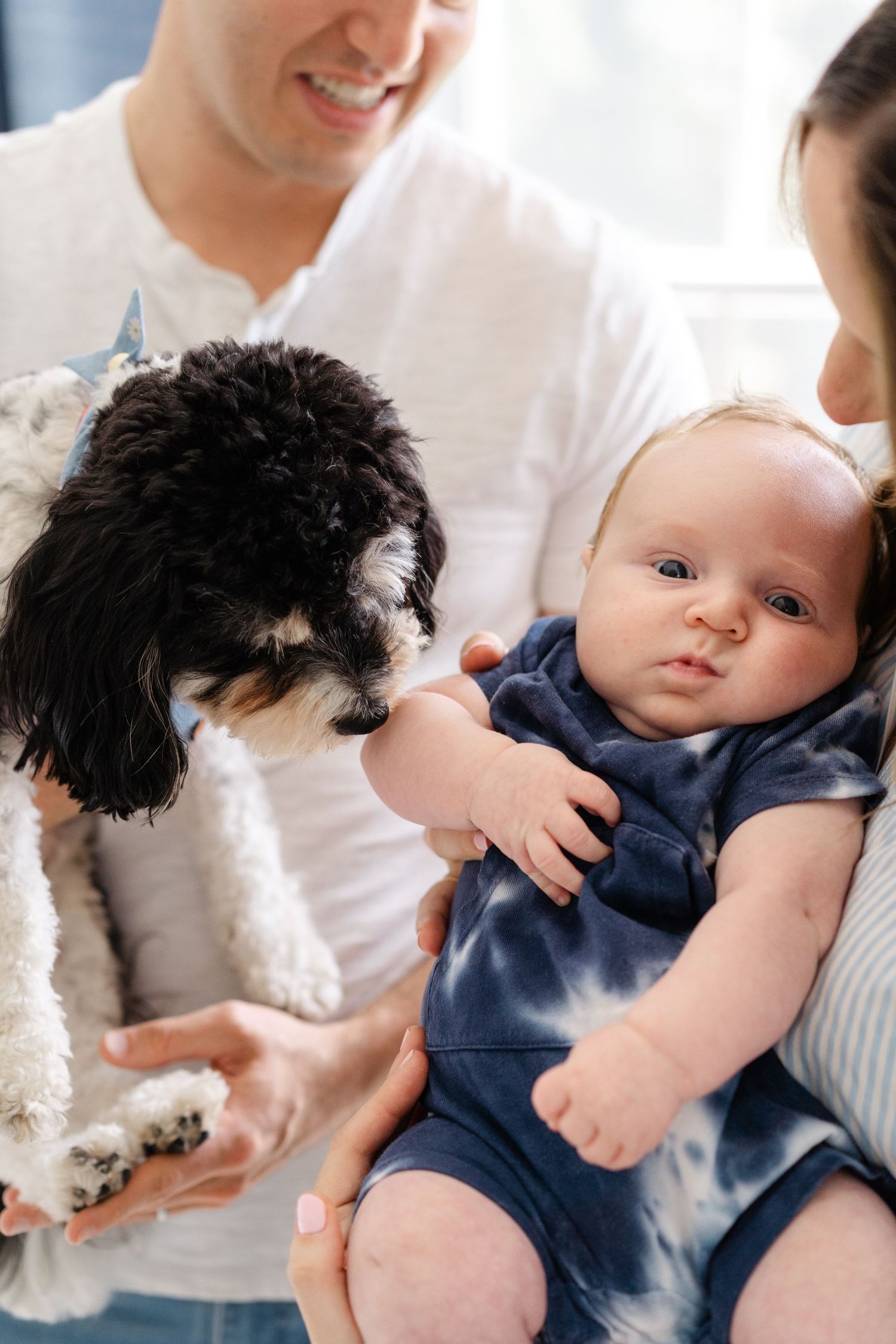 A small black and white dog interacts with a baby wearing a navy blue onesie as they share a precious moment together.