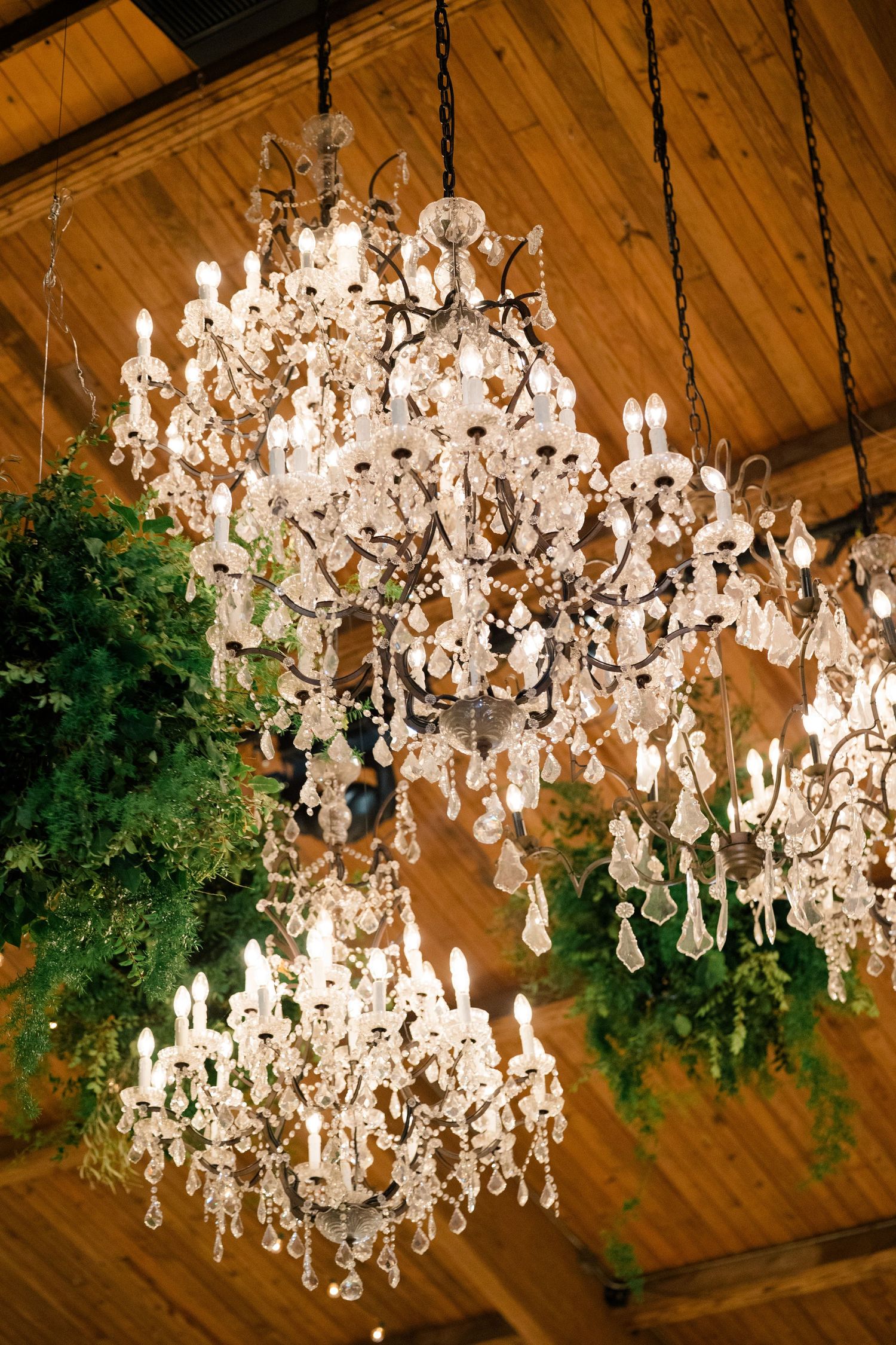 Ornate crystal chandelier with hanging greenery against wooden barn ceiling beams.