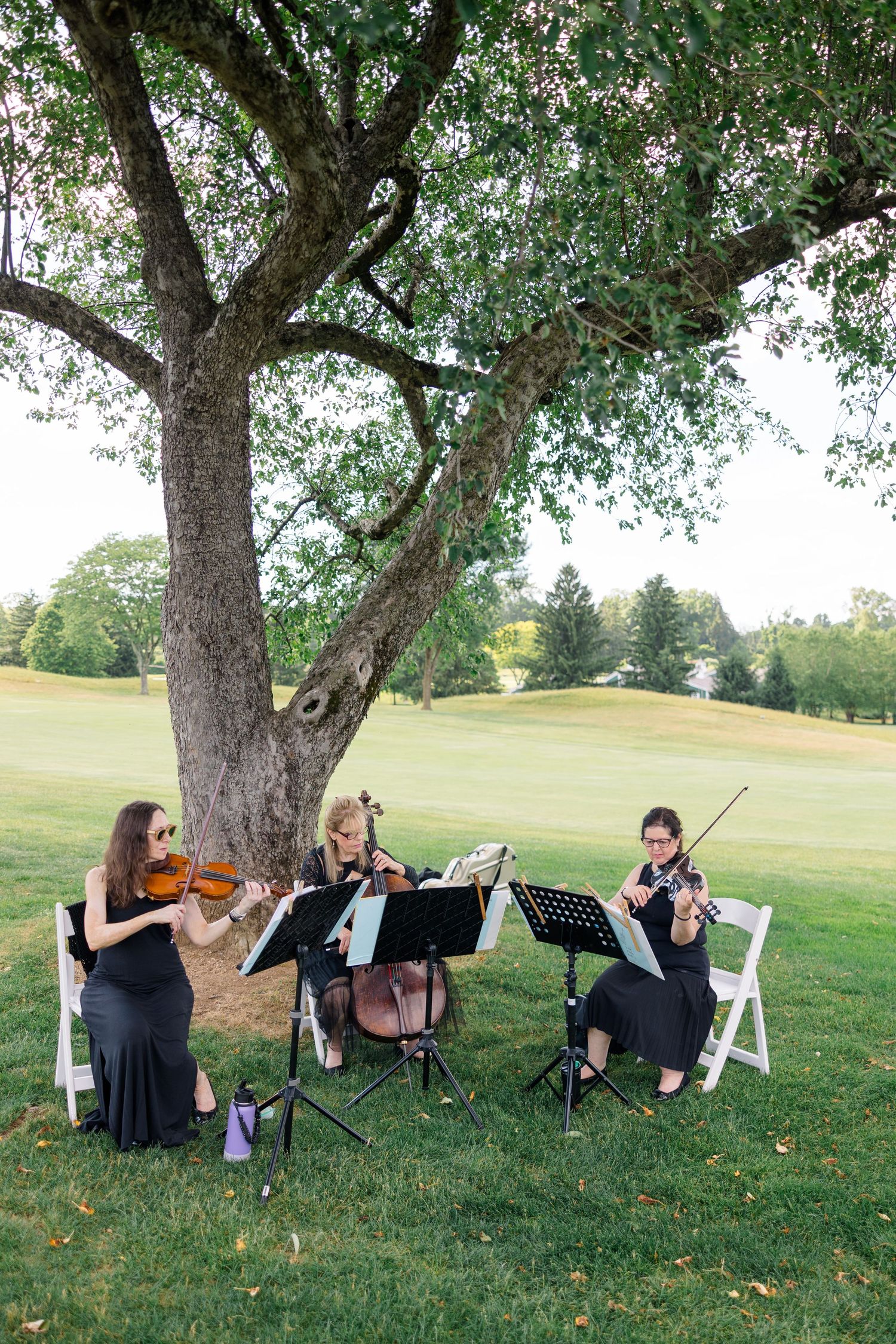 String trio in black dresses performs under large tree at outdoor wedding ceremony on golf course.