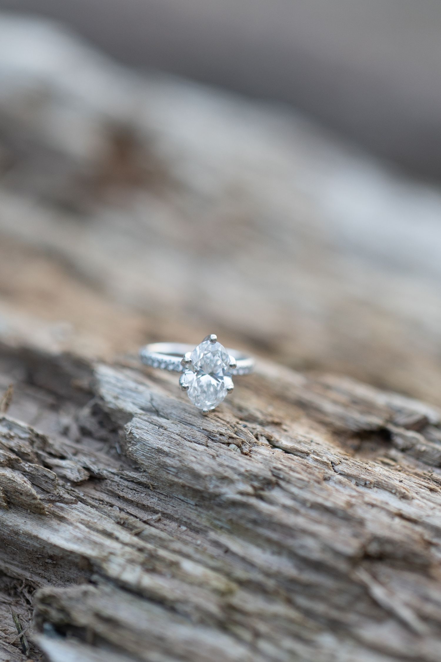 Elegant oval diamond solitaire engagement ring with pavé band displayed on rustic driftwood surface.