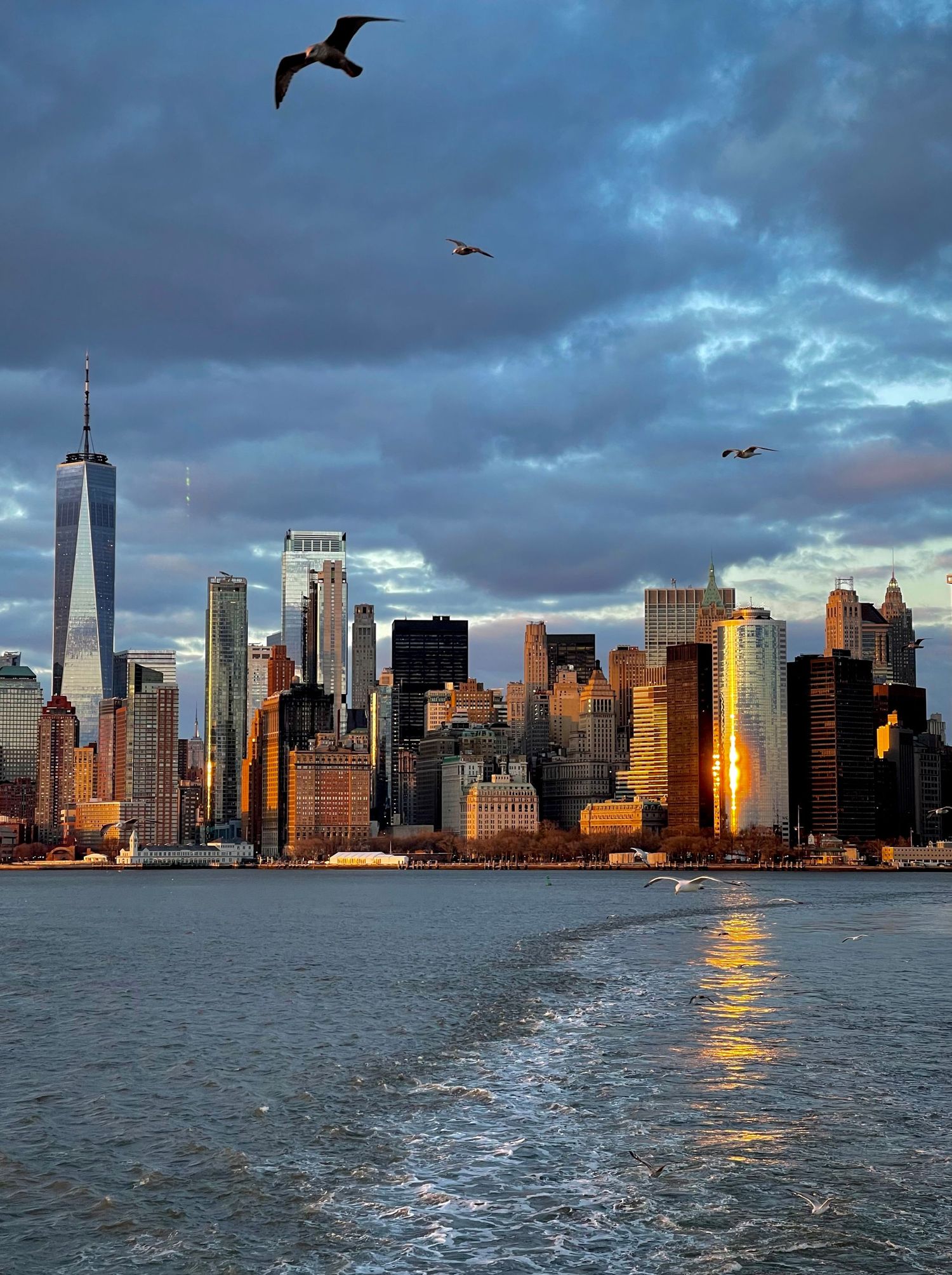 Manhattan skyline at sunset with seagulls flying over Hudson River and golden light on buildings.