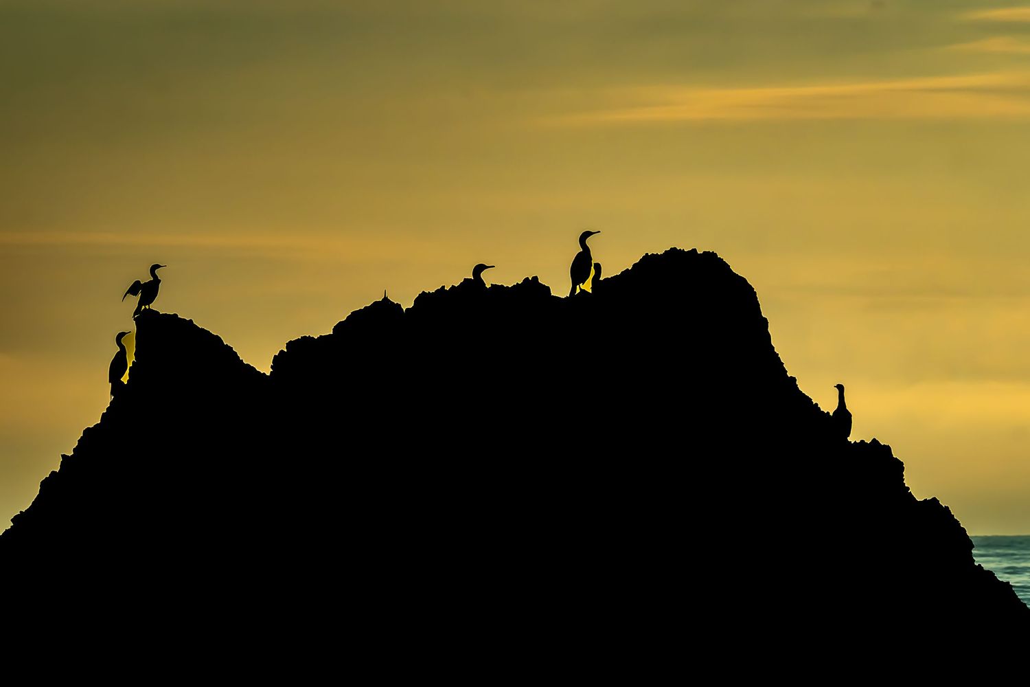 Mountain ridge silhouetted against warm golden sky at sunset.