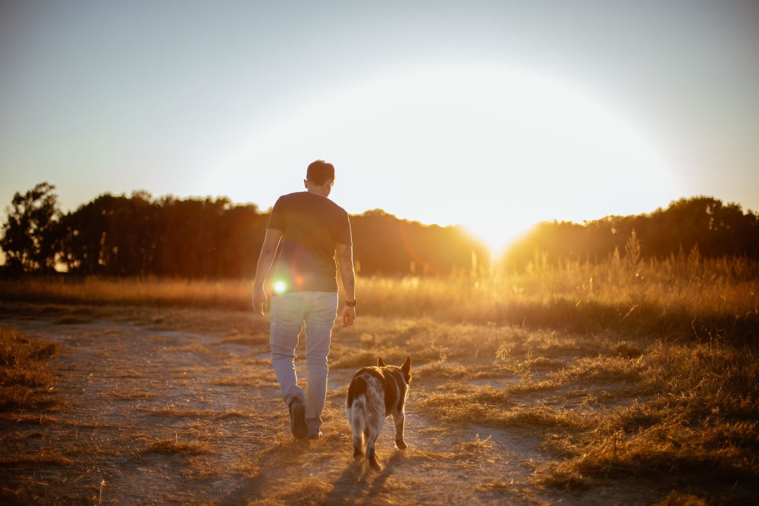 Silhouette of person walking dog during golden sunset on dirt path.