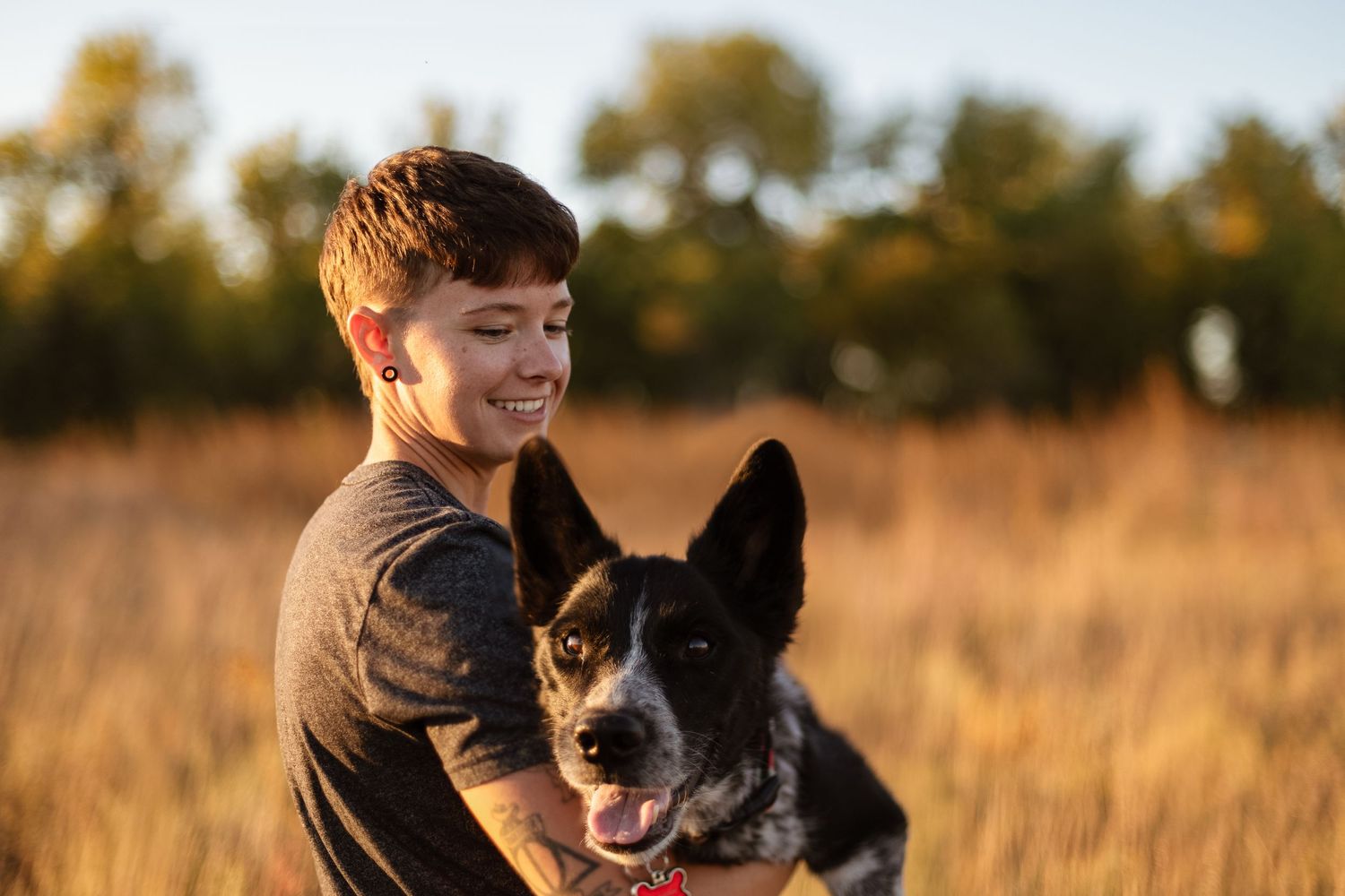 Happy black and white dog with person in brown shirt during golden hour photoshoot.